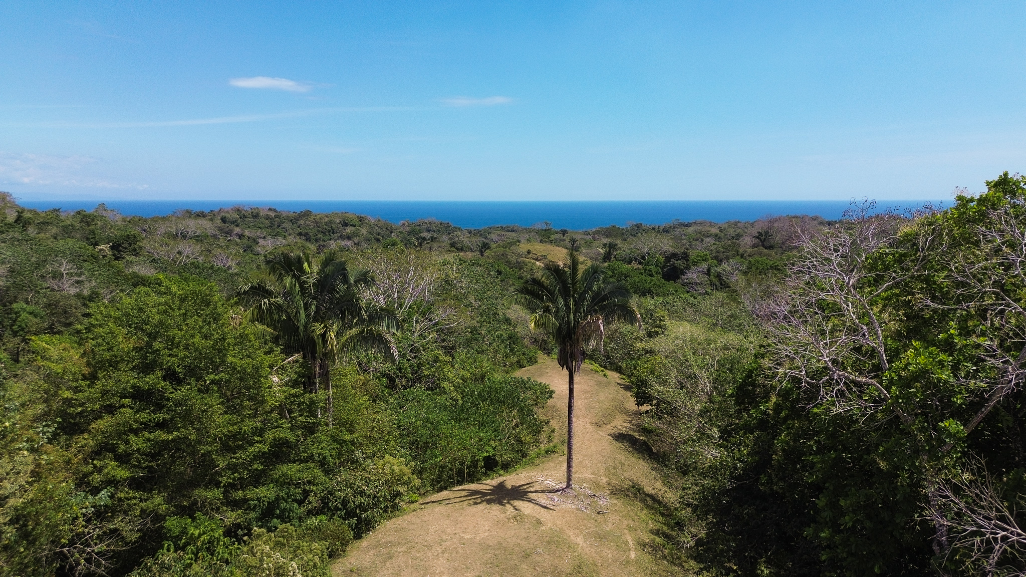 0 bed Land For Sale in Montezuma, Puntarenas - thumb 2