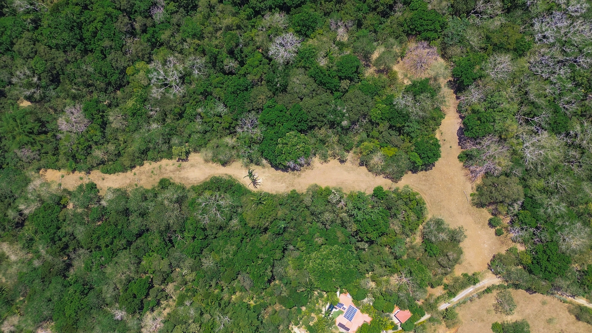 0 bed Land For Sale in Montezuma, Puntarenas - thumb 3