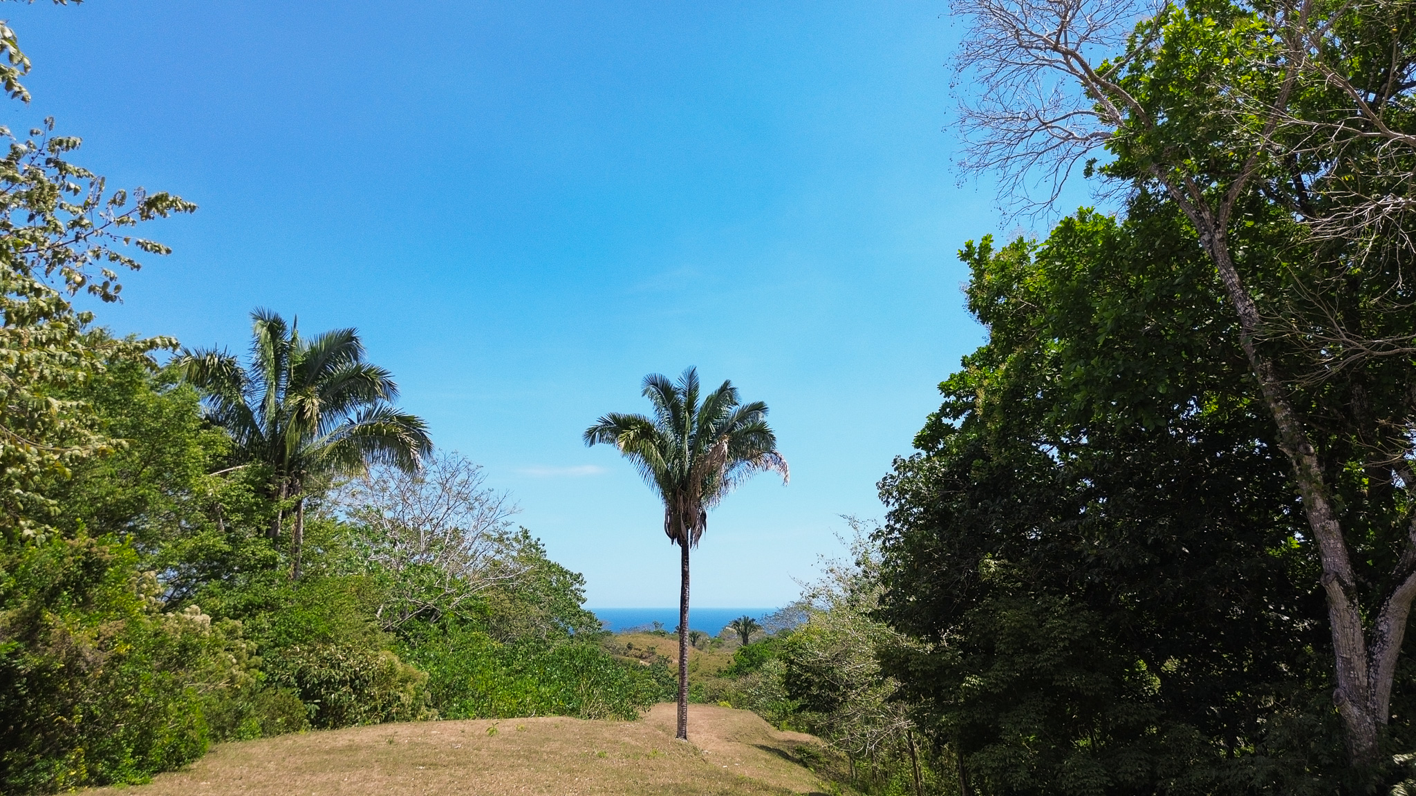 0 bed Land For Sale in Montezuma, Puntarenas - thumb 4