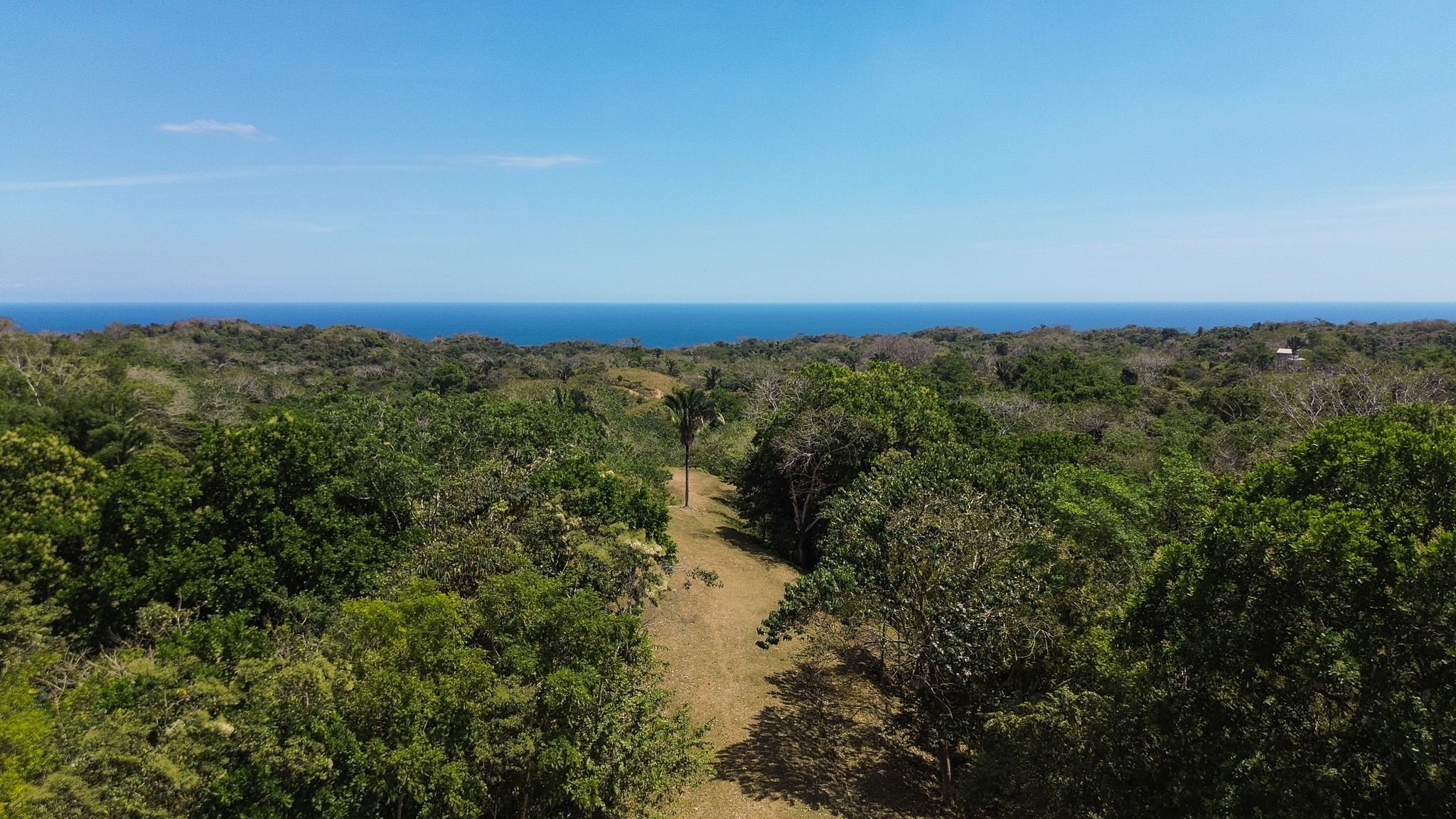 0 bed Land For Sale in Montezuma, Puntarenas - thumb 5
