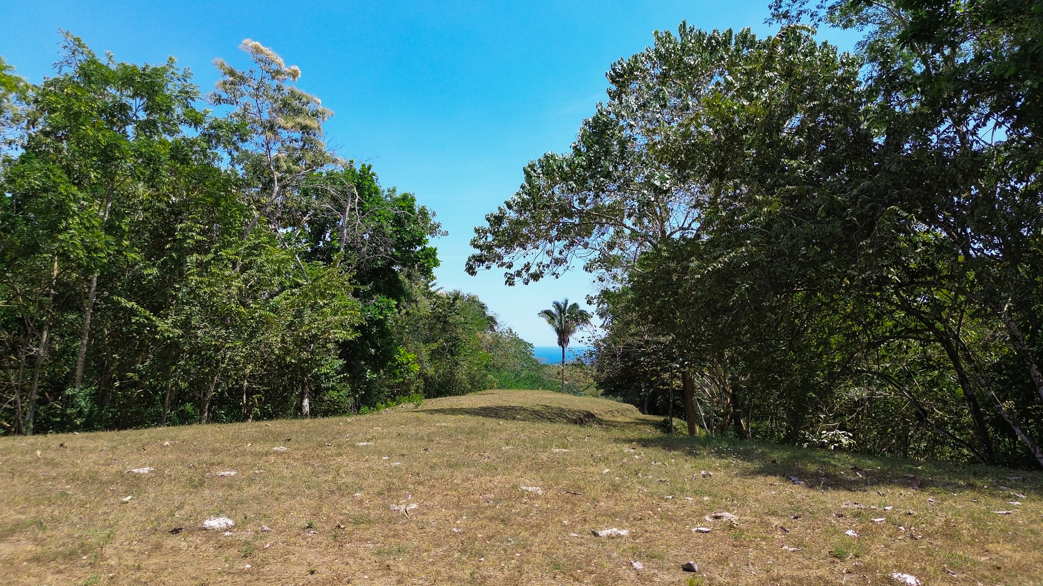 0 bed Land For Sale in Montezuma, Puntarenas - thumb 6