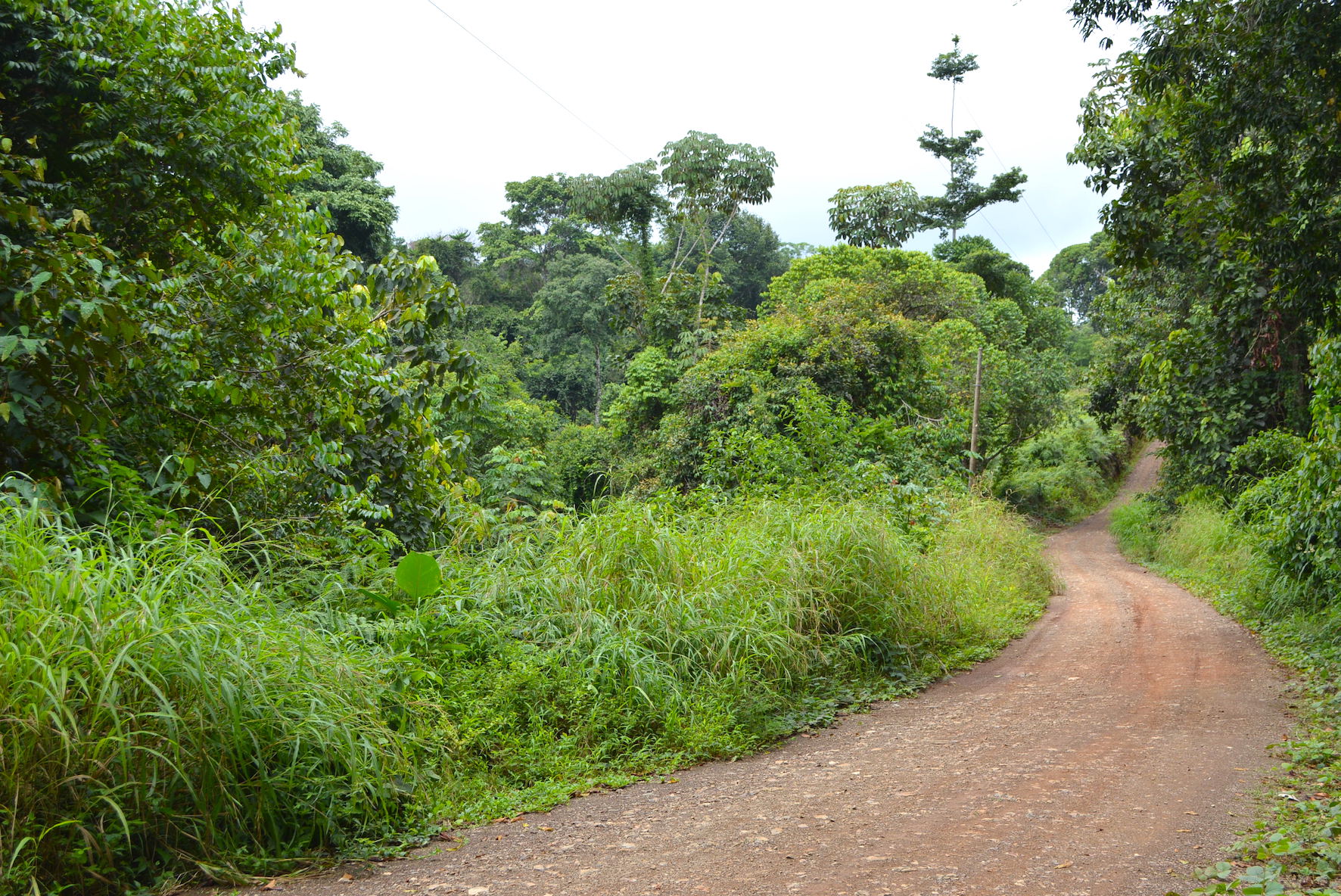 0 bed Land For Sale in Dominical, Puntarenas - thumb 13