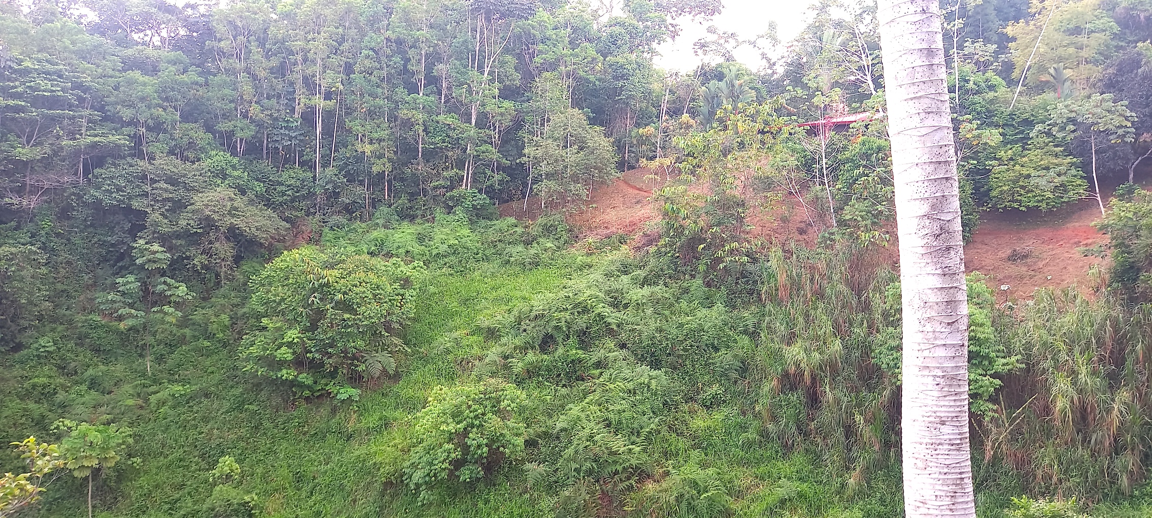 0 bed Land For Sale in Dominical, Puntarenas - thumb 3