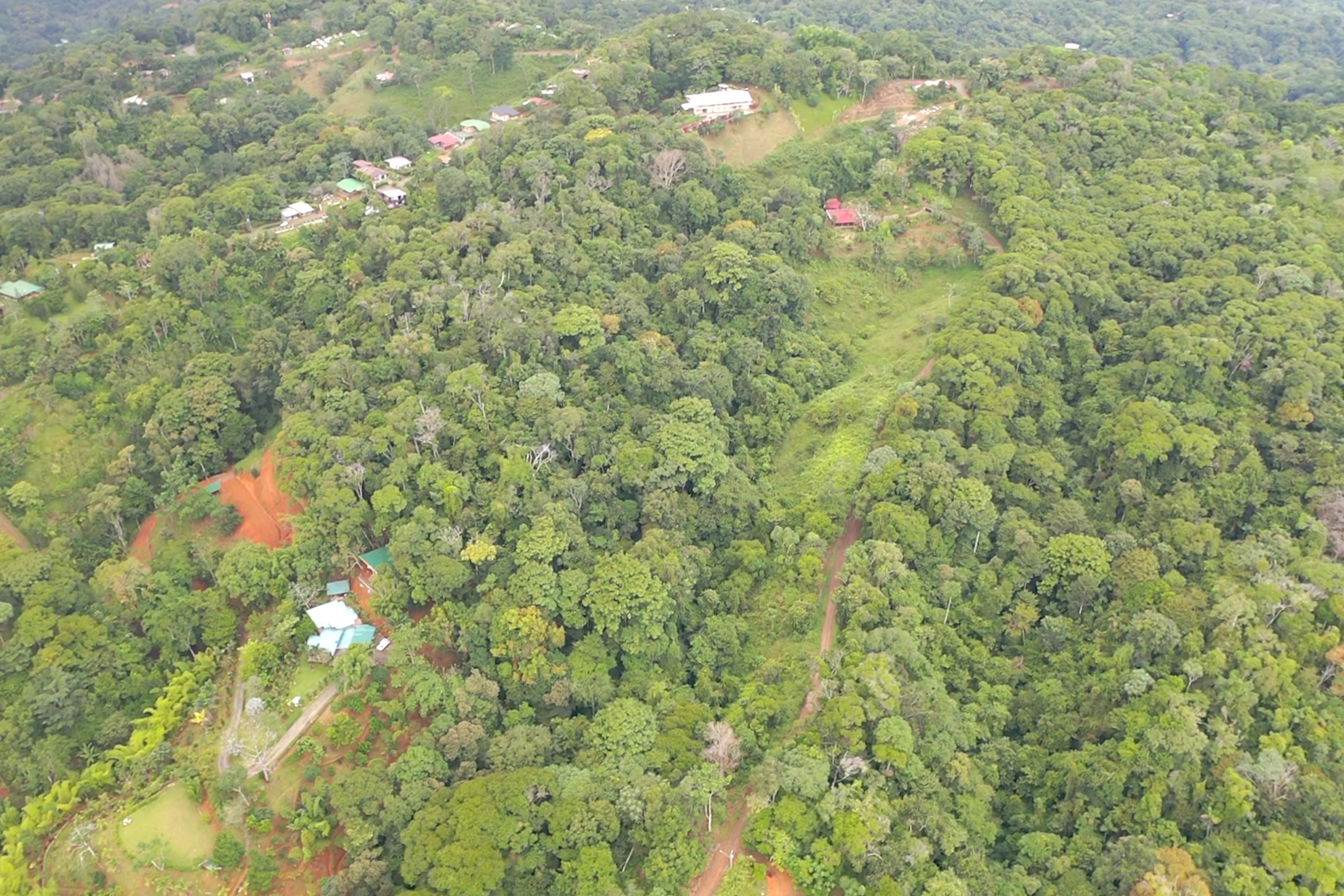 0 bed Land For Sale in Dominical, Puntarenas - thumb 9