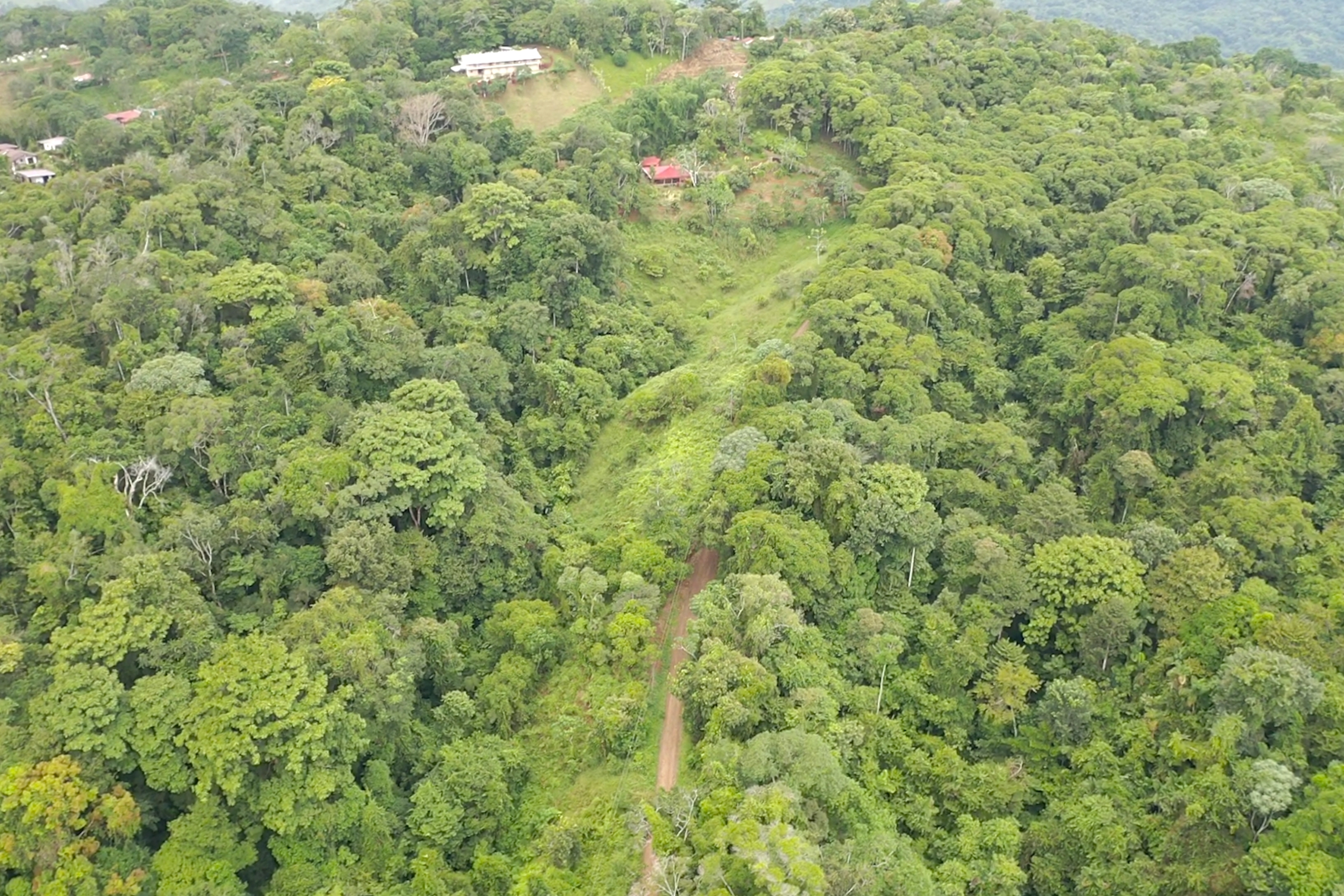 0 bed Land For Sale in Dominical, Puntarenas - thumb 14