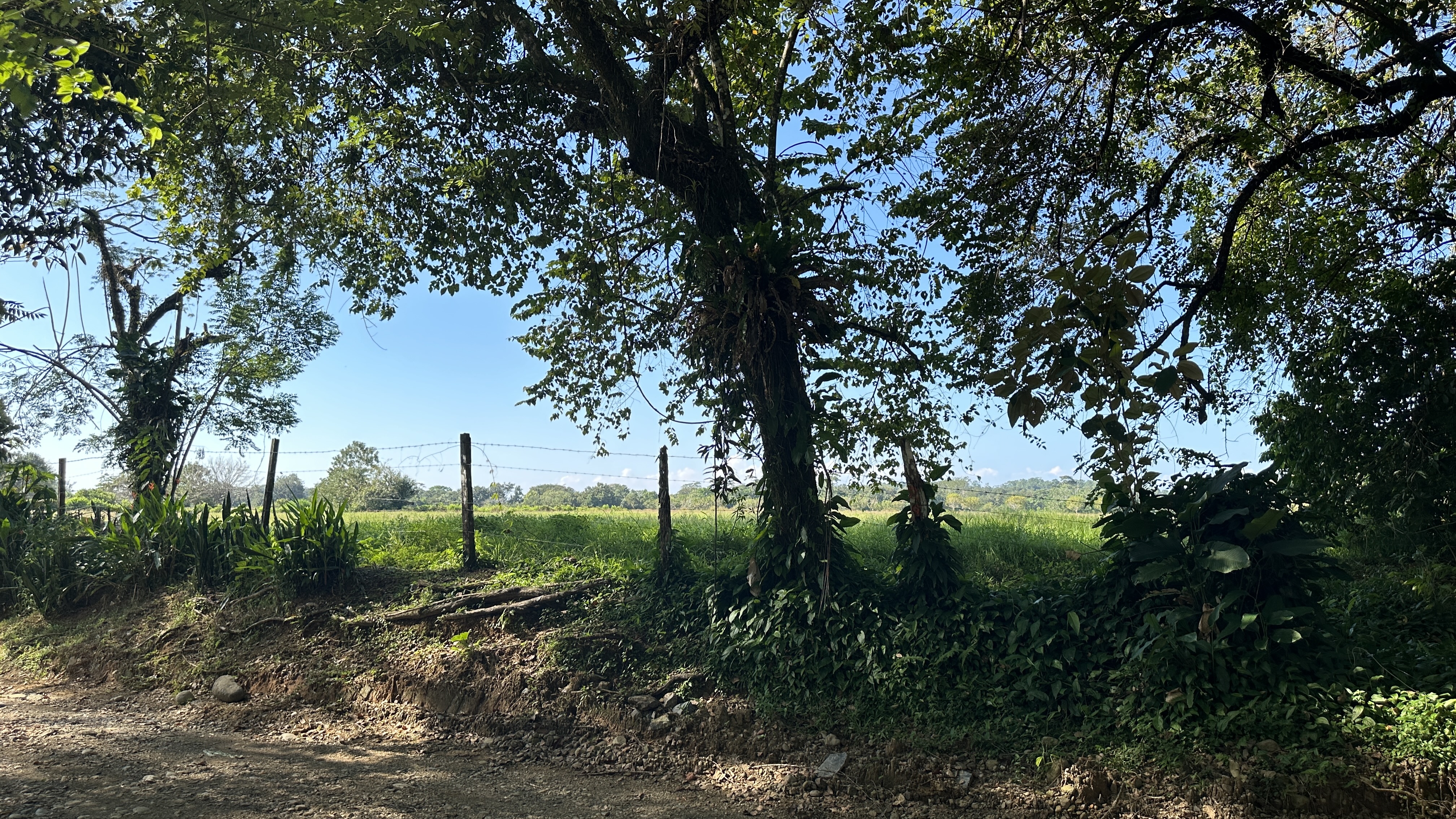 3 bed Single Family Homes For Sale in Uvita, Puntarenas - thumb 3