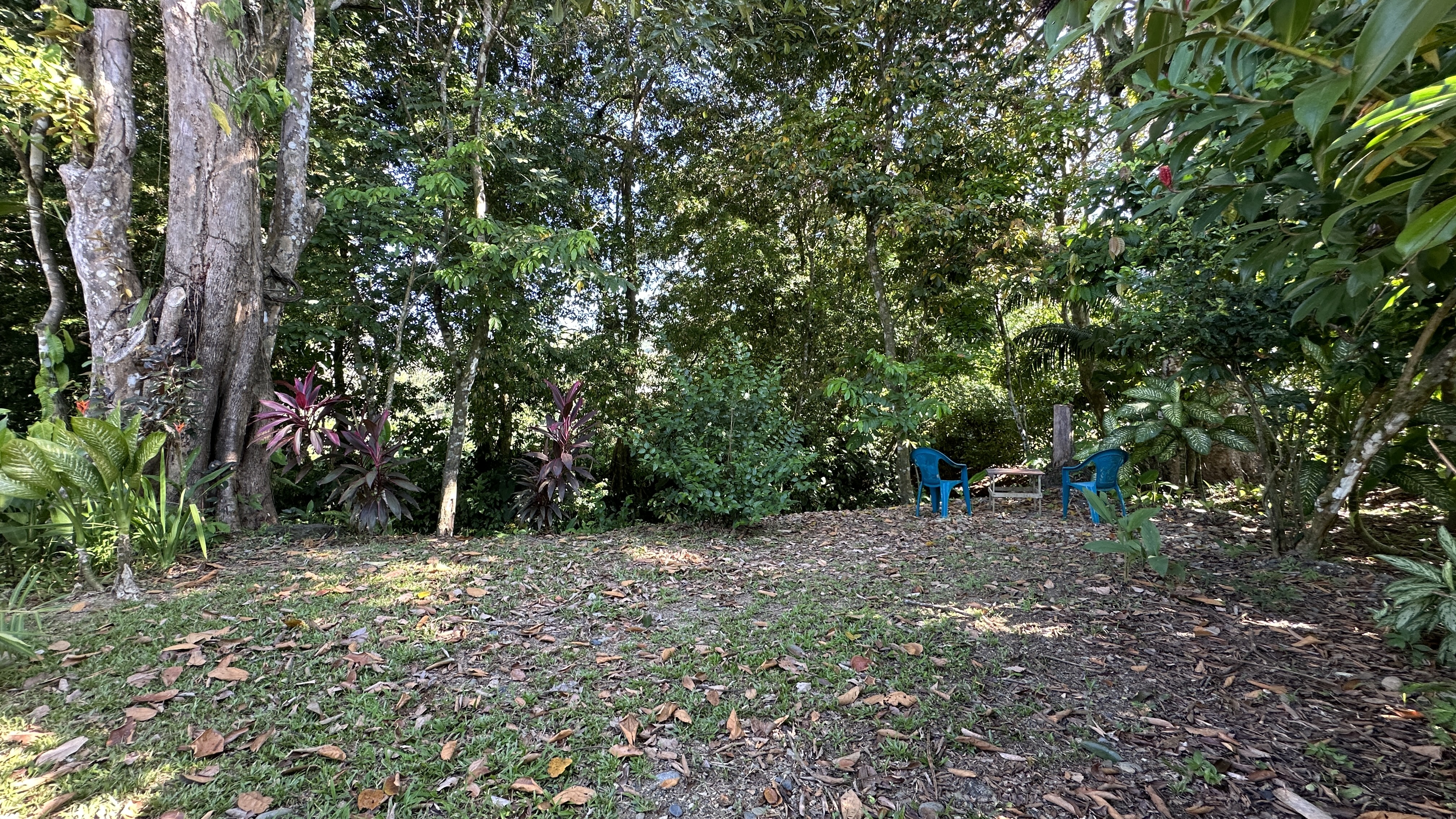 3 bed Single Family Homes For Sale in Uvita, Puntarenas - thumb 10