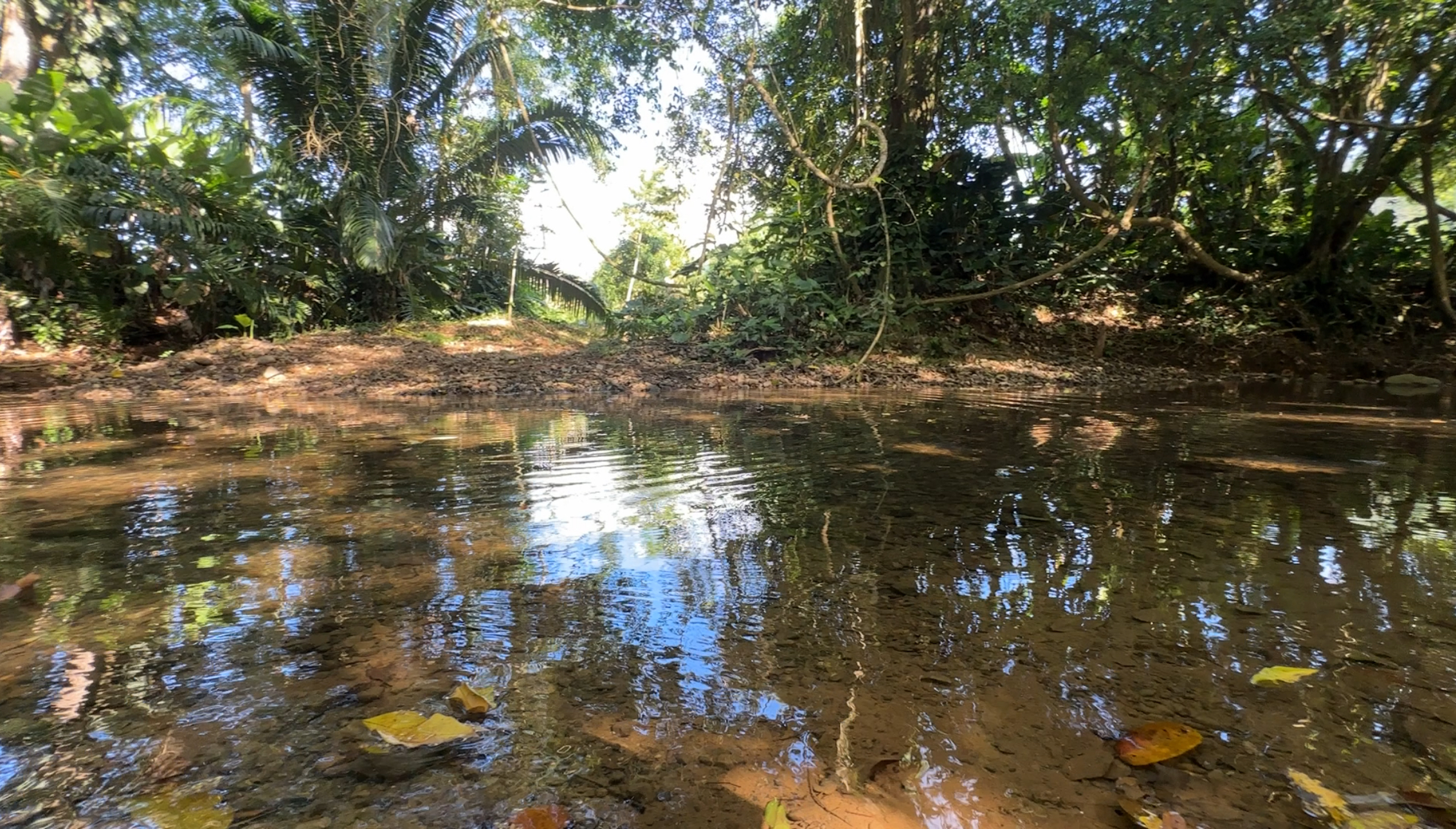 3 bed Single Family Homes For Sale in Uvita, Puntarenas - thumb 27