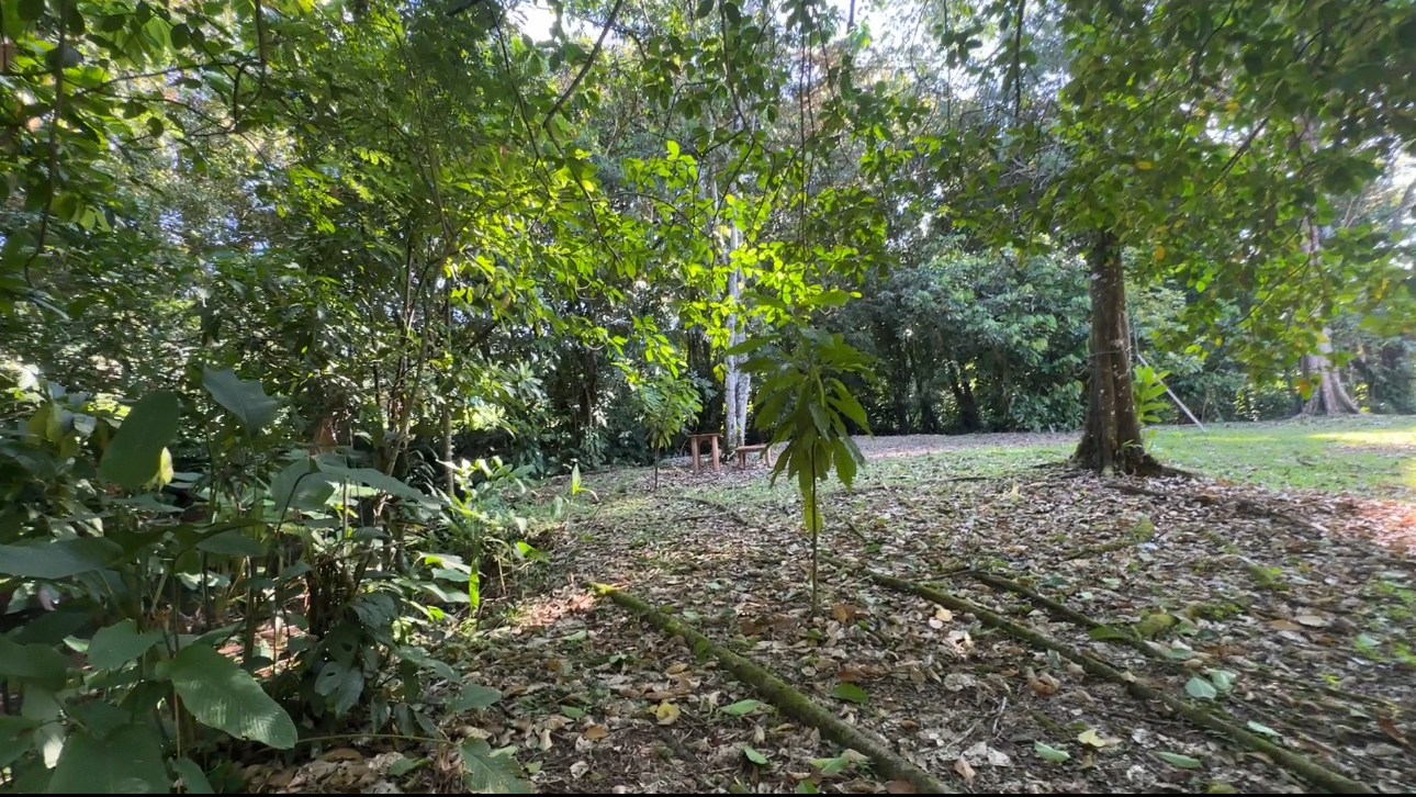 3 bed Single Family Homes For Sale in Uvita, Puntarenas - thumb 24