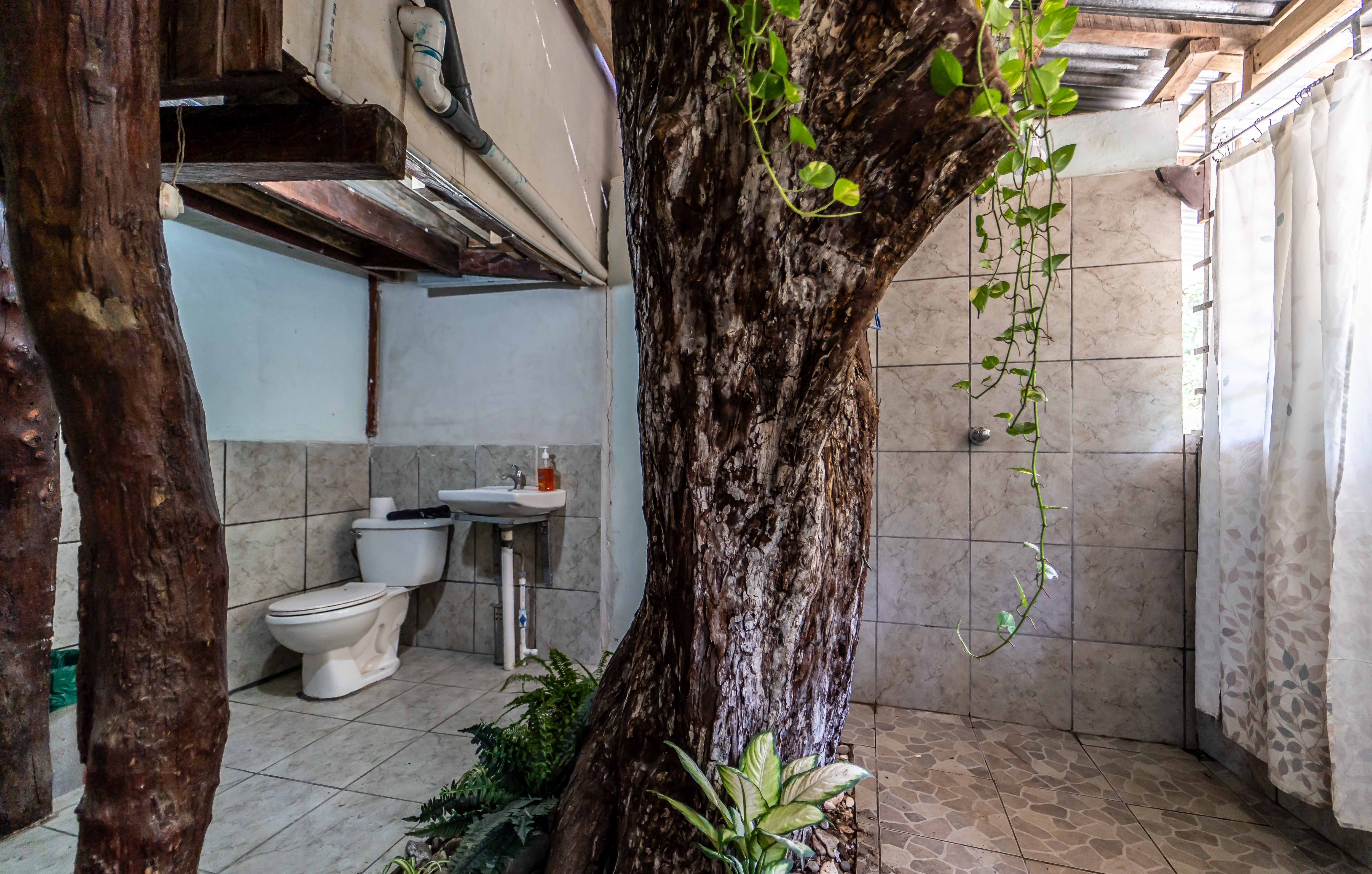 3 bed Single Family Homes For Sale in Samara, Guanacaste - thumb 11