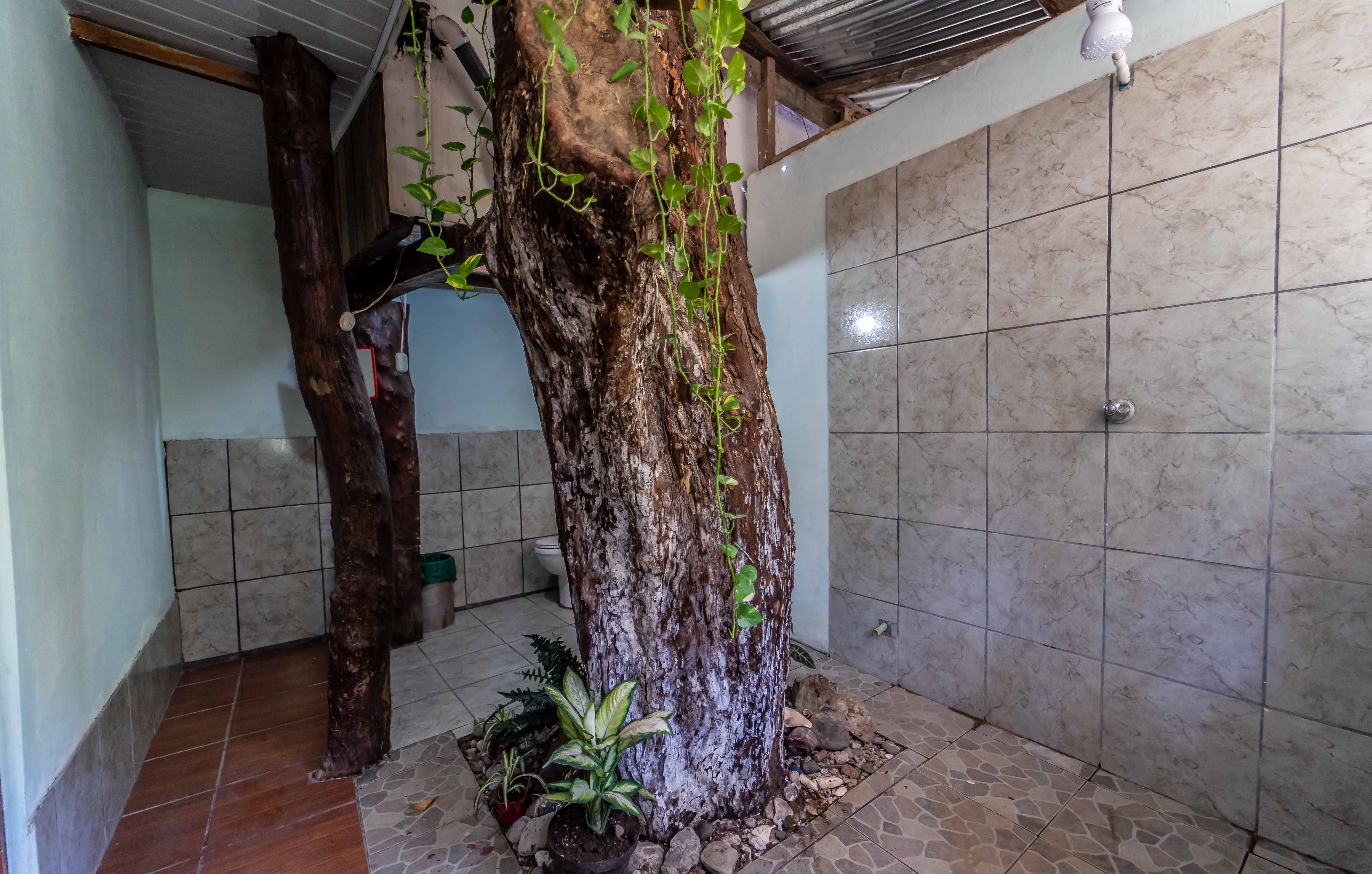 3 bed Single Family Homes For Sale in Samara, Guanacaste - thumb 12