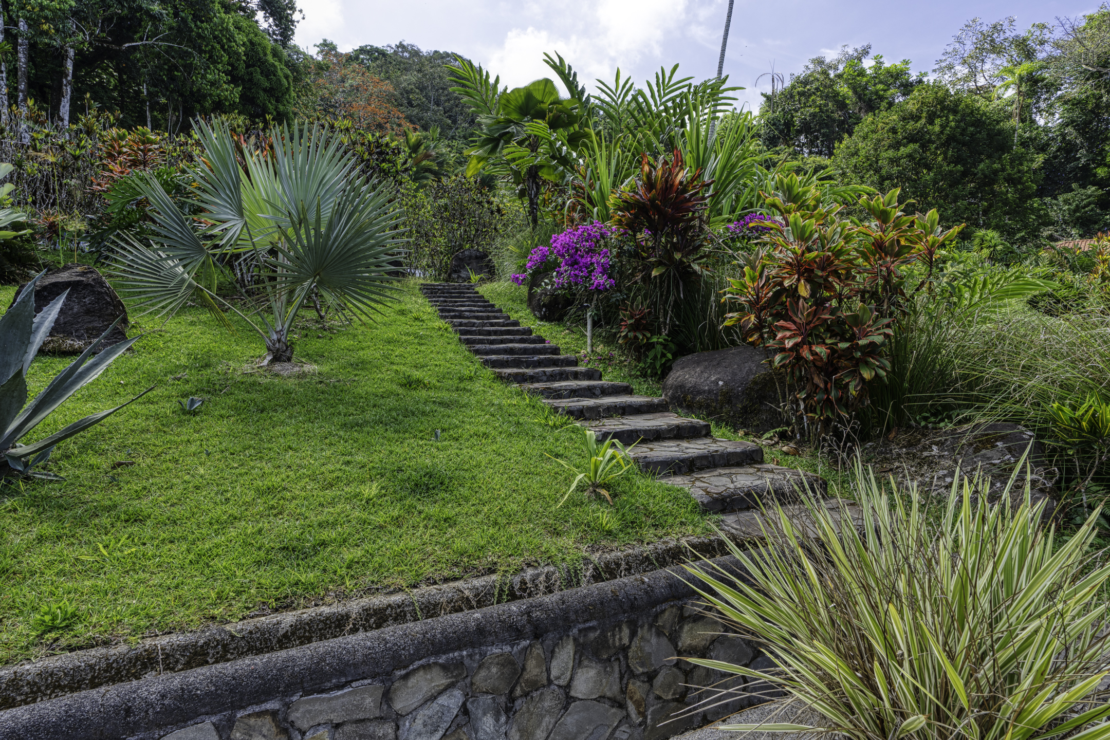 3 bed Single Family Homes For Sale in Perez Zeledon, San Jose - thumb 26