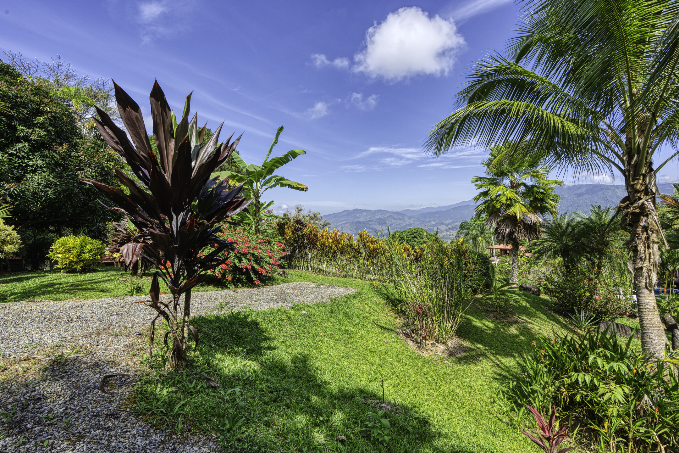 3 bed Single Family Homes For Sale in Perez Zeledon, San Jose - thumb 30