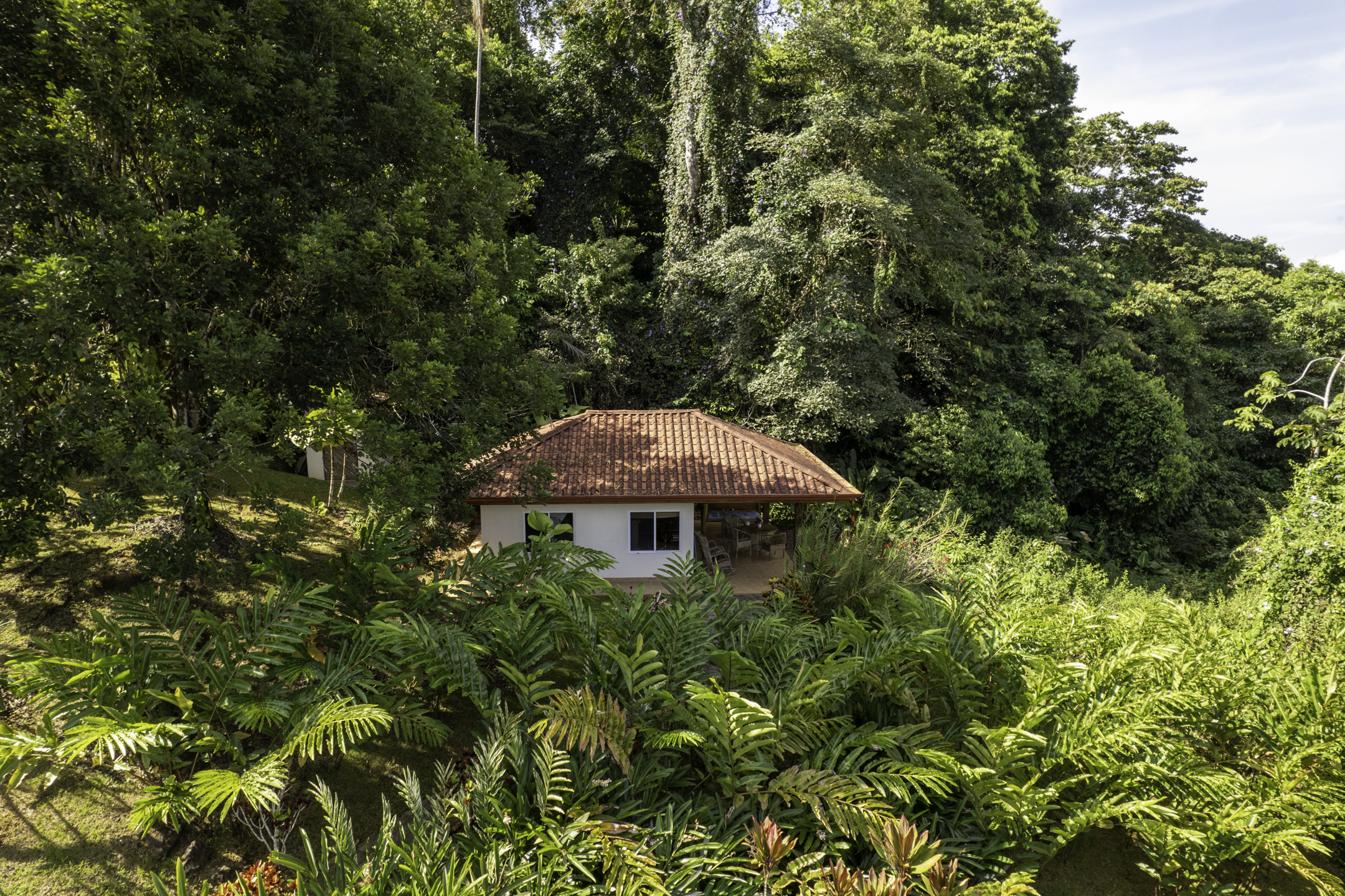 3 bed Single Family Homes For Sale in Perez Zeledon, San Jose - thumb 4