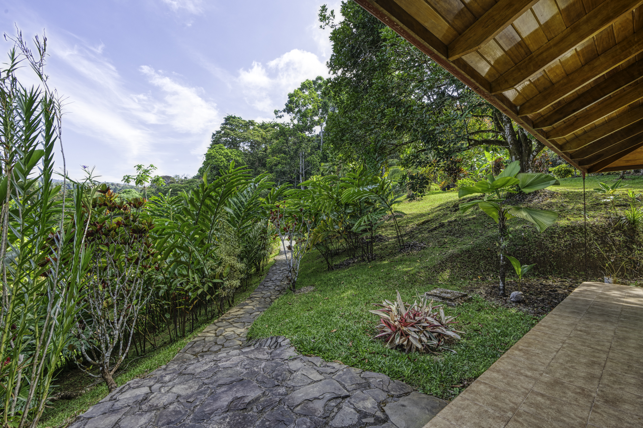 3 bed Single Family Homes For Sale in Perez Zeledon, San Jose - thumb 12