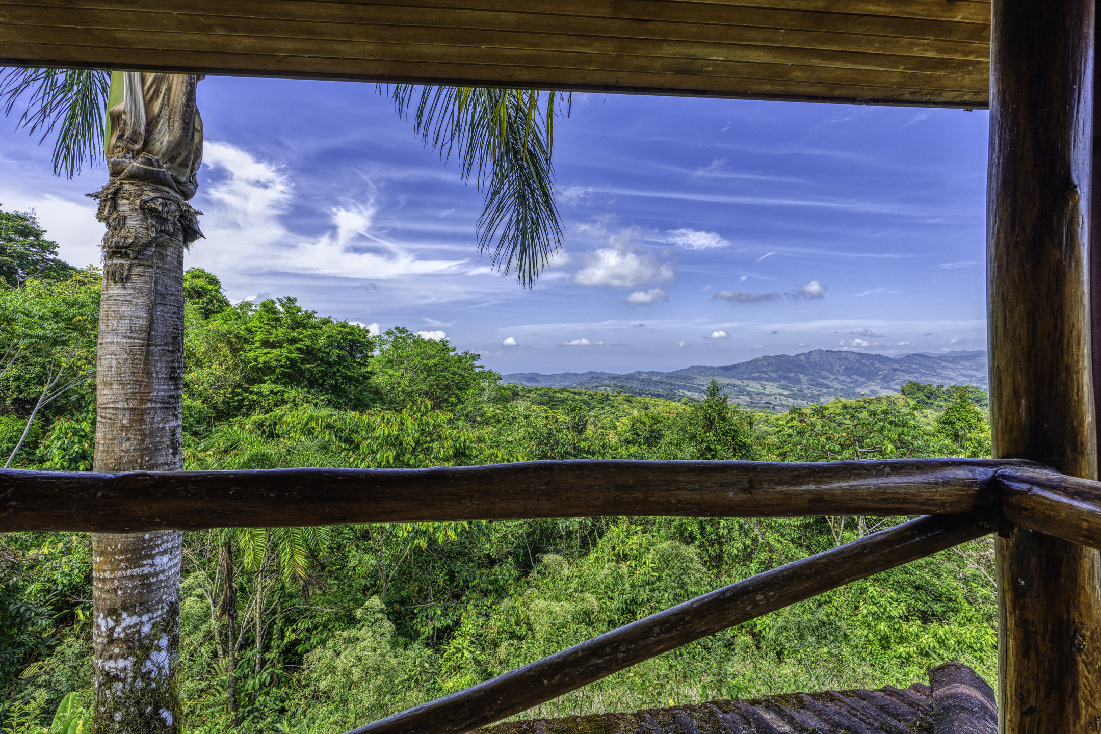 3 bed Single Family Homes For Sale in Perez Zeledon, San Jose - thumb 18