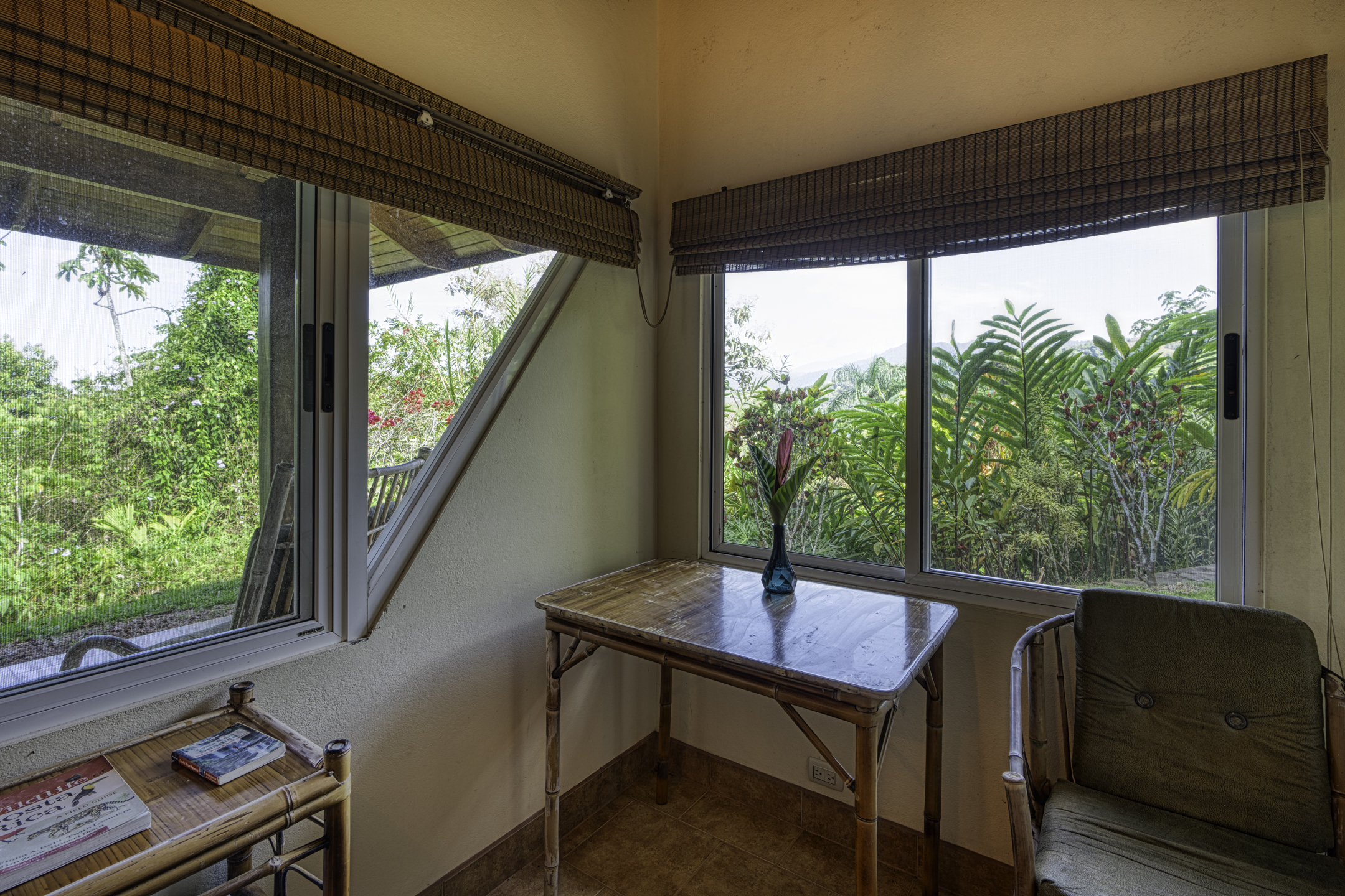 3 bed Single Family Homes For Sale in Perez Zeledon, San Jose - thumb 11