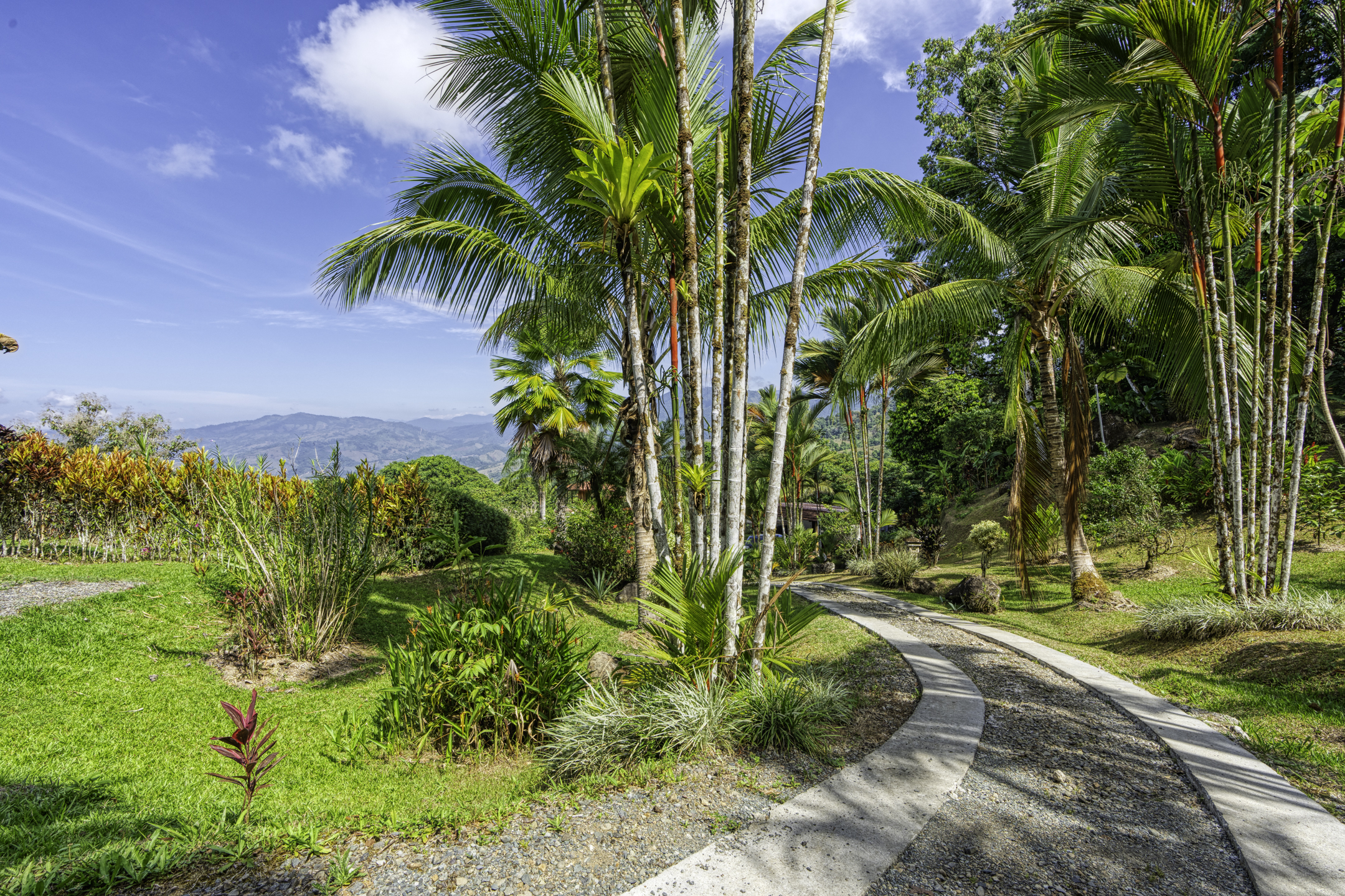 3 bed Single Family Homes For Sale in Perez Zeledon, San Jose - thumb 29