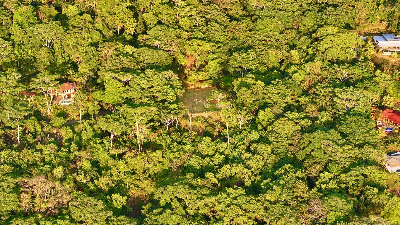 0 bed Land For Sale in Dominical, Puntarenas - thumb 21