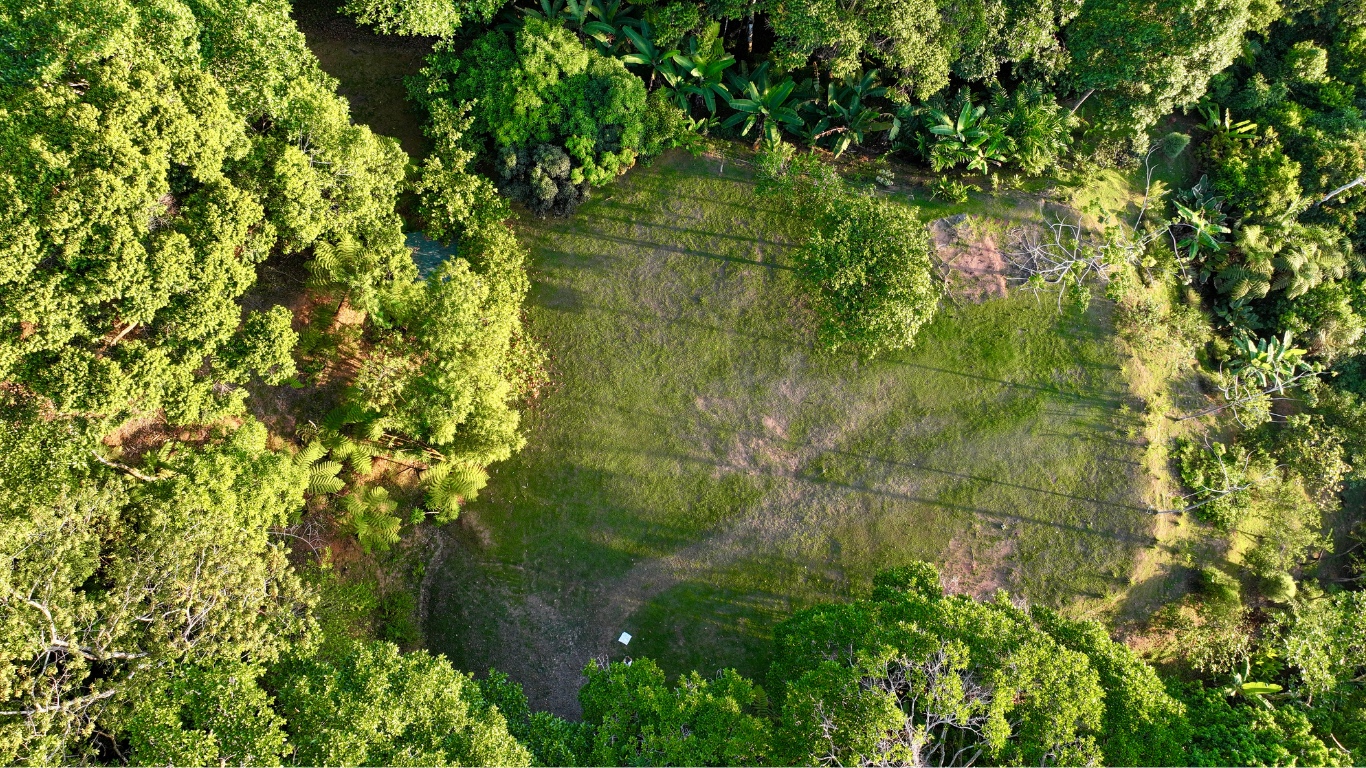 0 bed Land For Sale in Dominical, Puntarenas - thumb 6