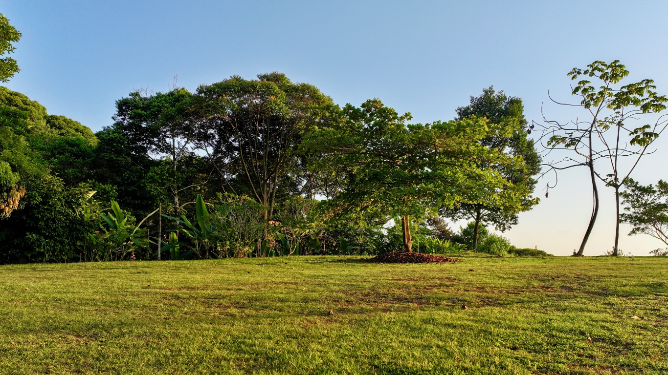 0 bed Land For Sale in Dominical, Puntarenas - thumb 8