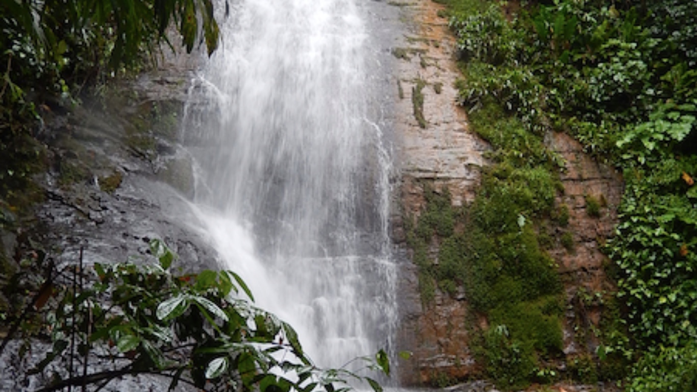 0 bed Land For Sale in Dominical, Puntarenas - thumb 10