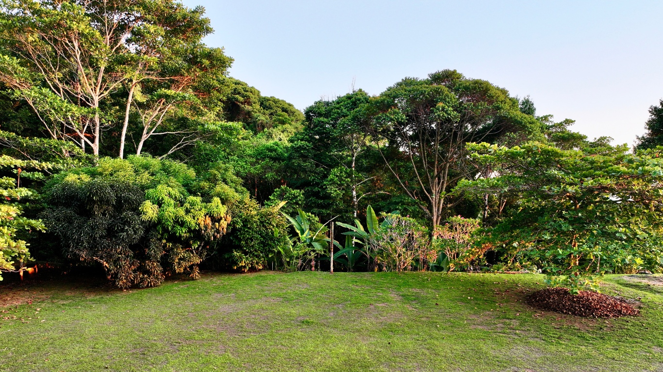 0 bed Land For Sale in Dominical, Puntarenas - thumb 9