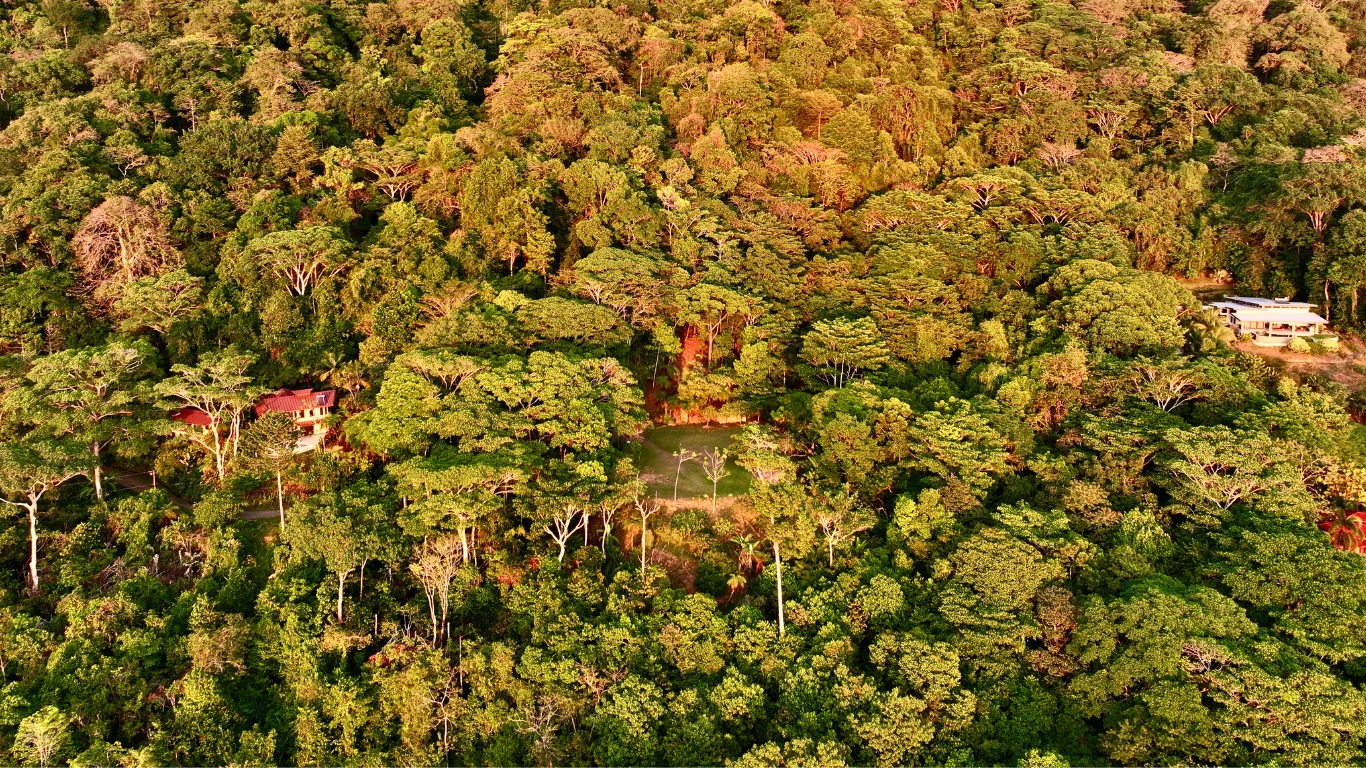 0 bed Land For Sale in Dominical, Puntarenas - thumb 2