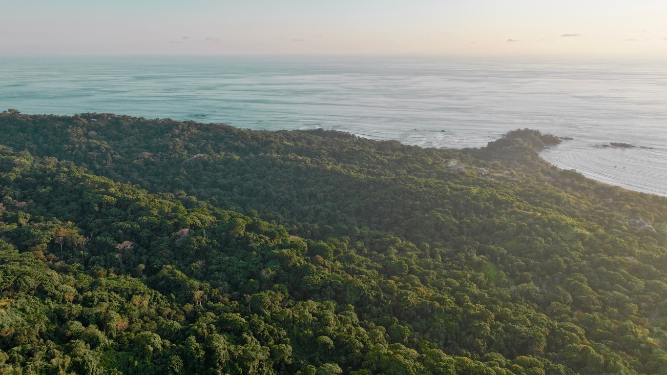 0 bed Land For Sale in Dominical, Puntarenas - thumb 15