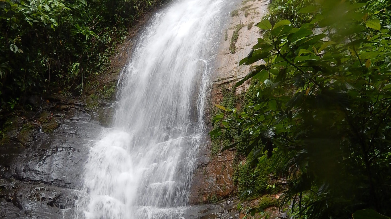 0 bed Land For Sale in Dominical, Puntarenas - thumb 24