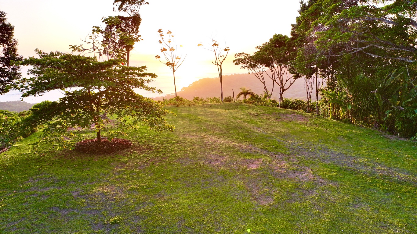 0 bed Land For Sale in Dominical, Puntarenas - thumb 3