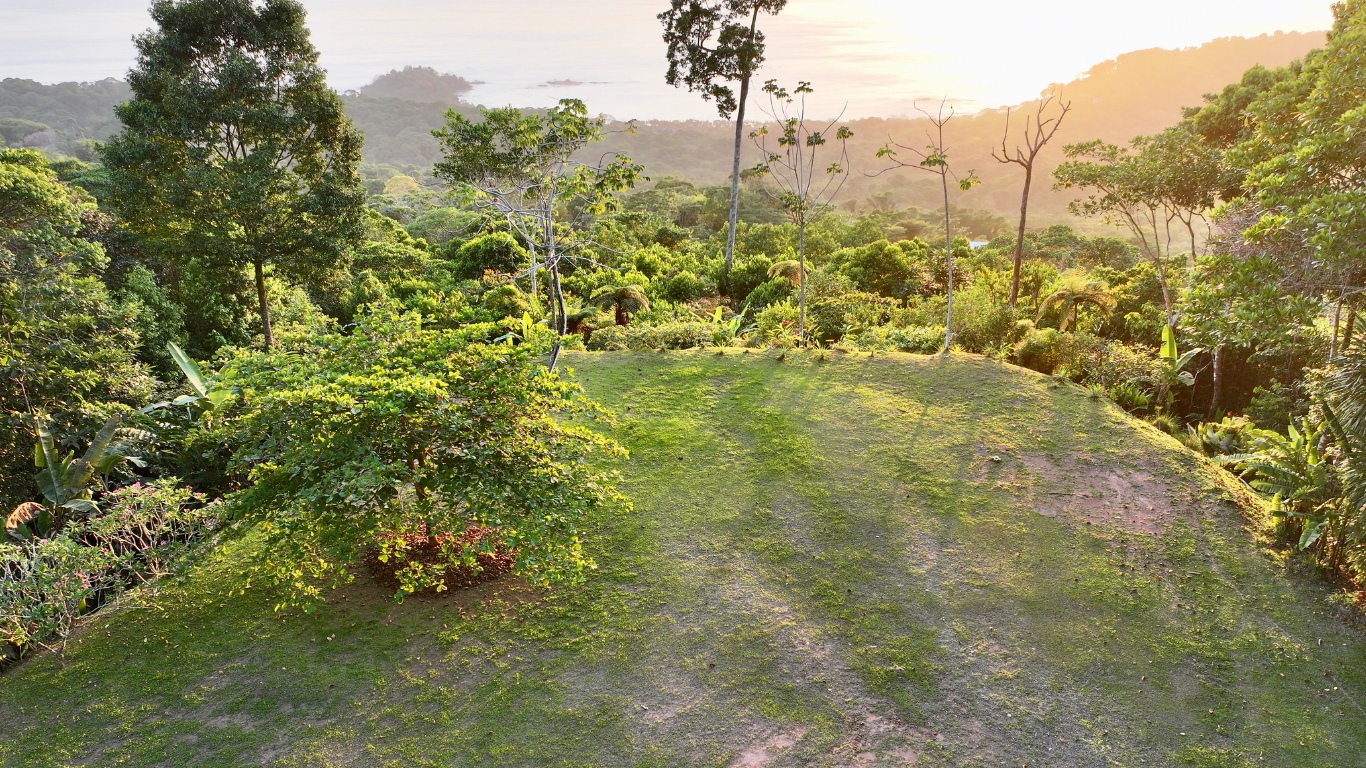 0 bed Land For Sale in Dominical, Puntarenas - thumb 7
