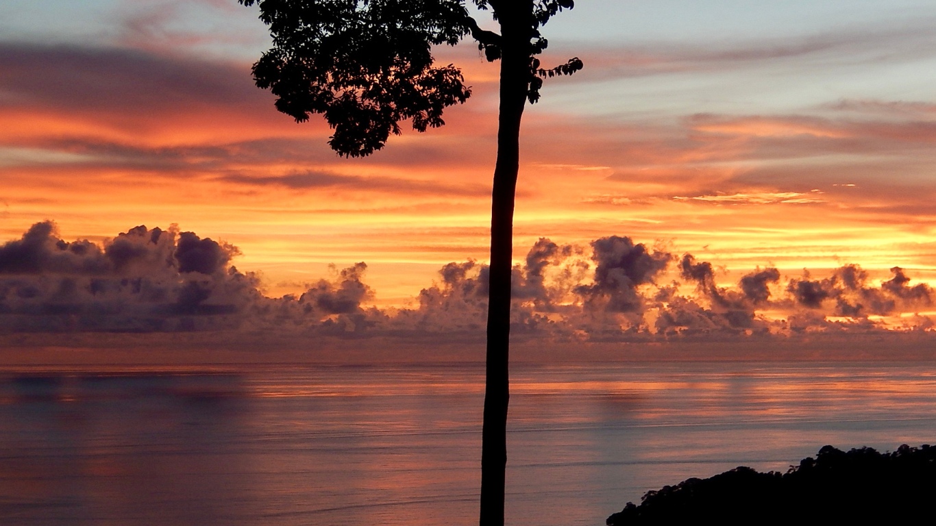 0 bed Land For Sale in Dominical, Puntarenas - thumb 26