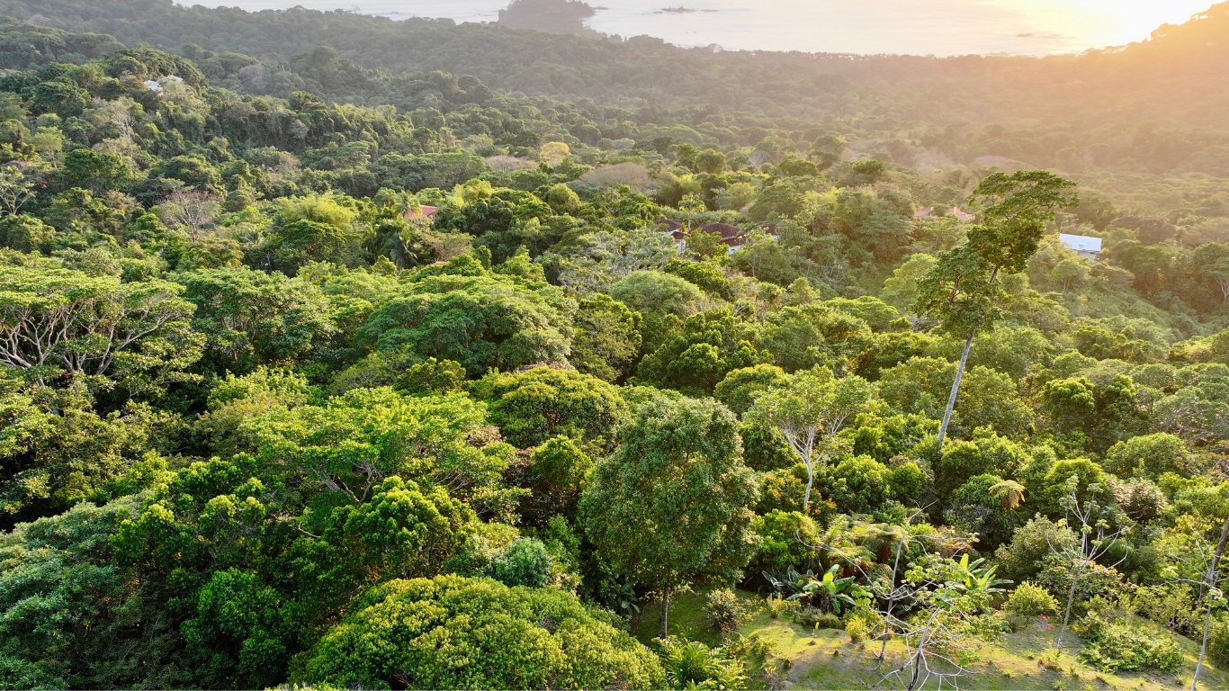 0 bed Land For Sale in Dominical, Puntarenas - thumb 12