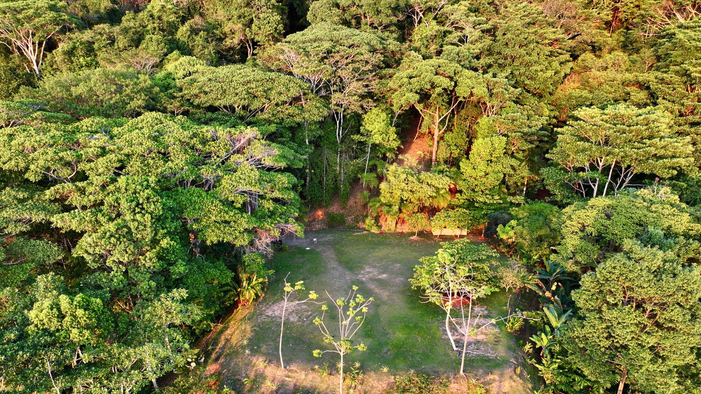 0 bed Land For Sale in Dominical, Puntarenas - thumb 1