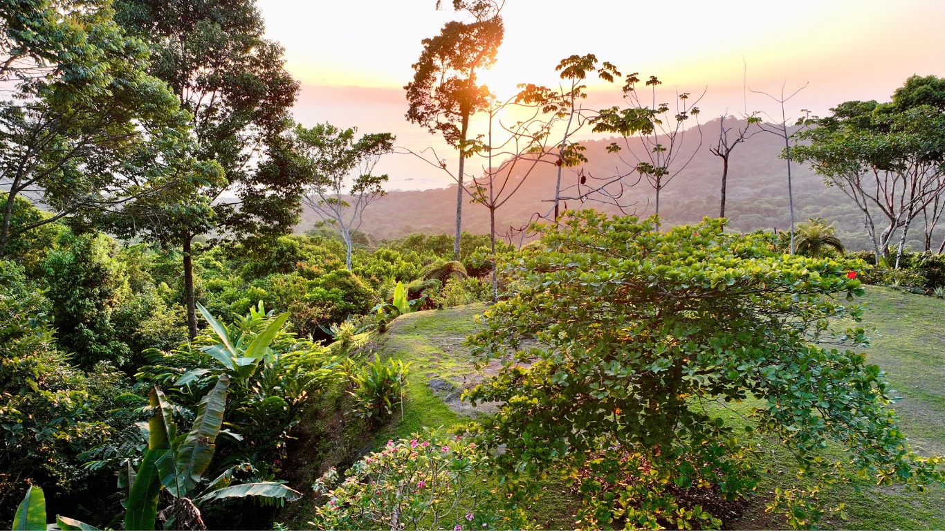 0 bed Land For Sale in Dominical, Puntarenas - thumb 4