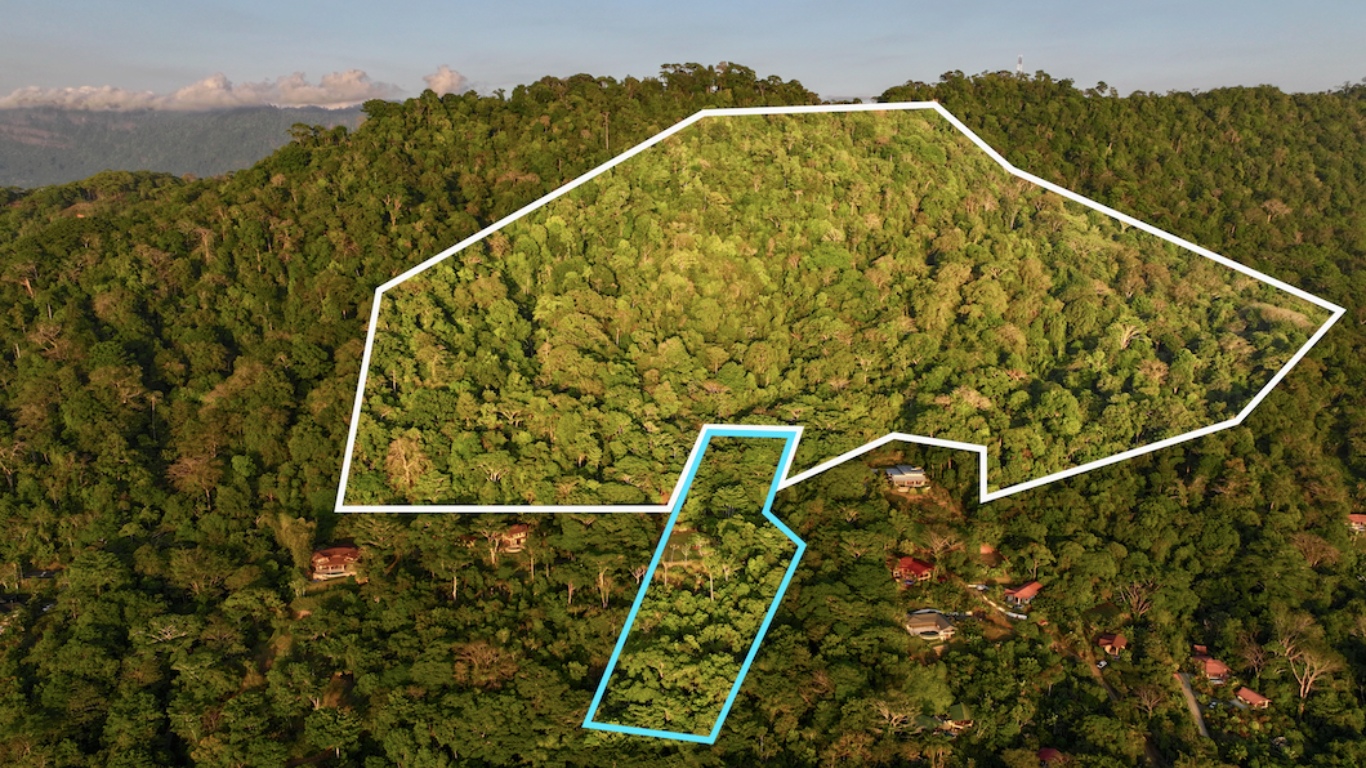 0 bed Land For Sale in Dominical, Puntarenas - thumb 5
