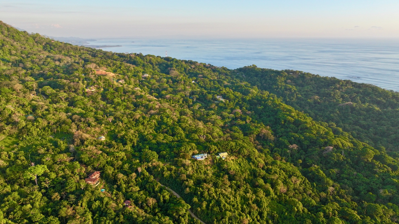 0 bed Land For Sale in Dominical, Puntarenas - thumb 13