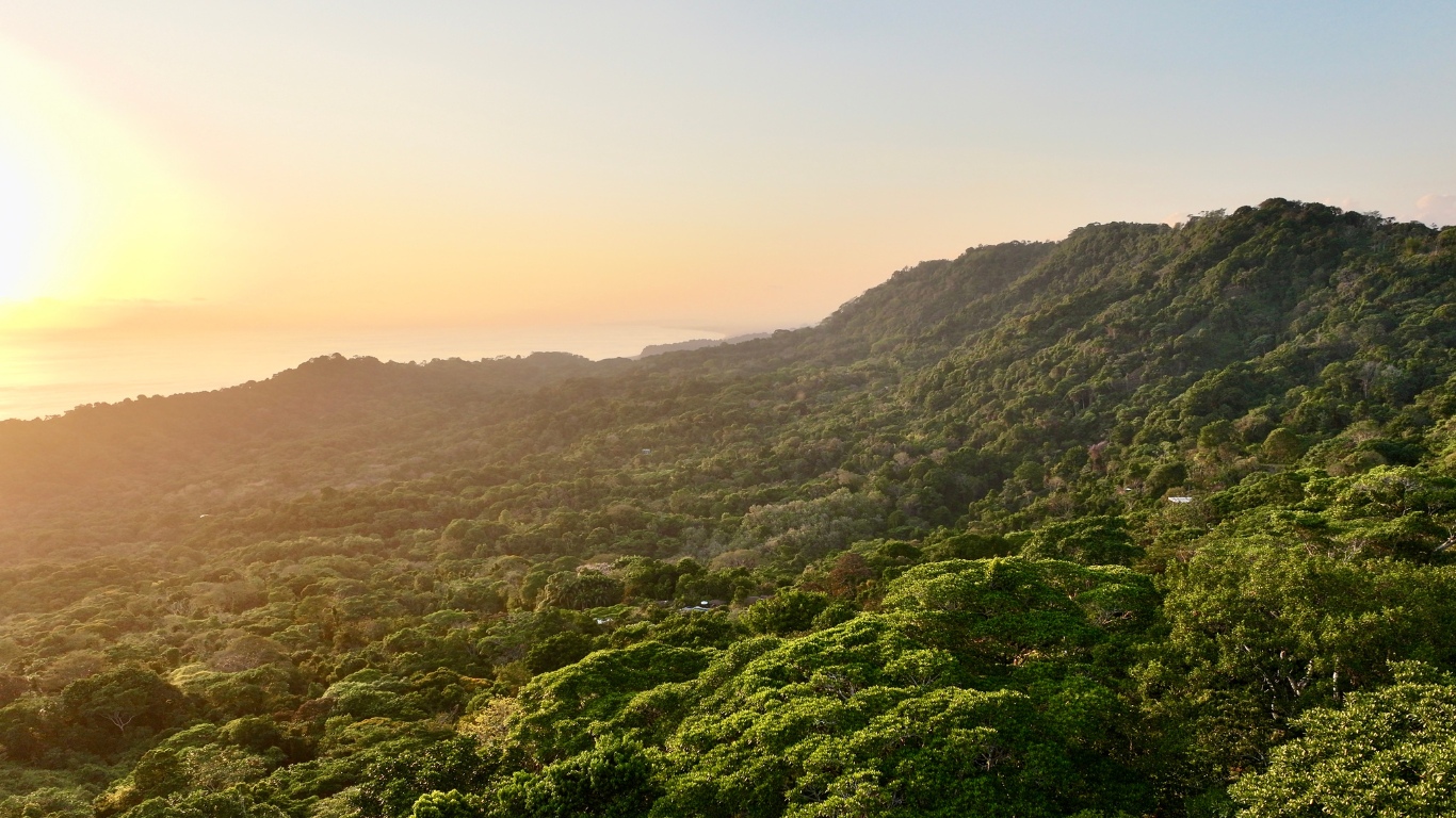 0 bed Land For Sale in Dominical, Puntarenas - thumb 17