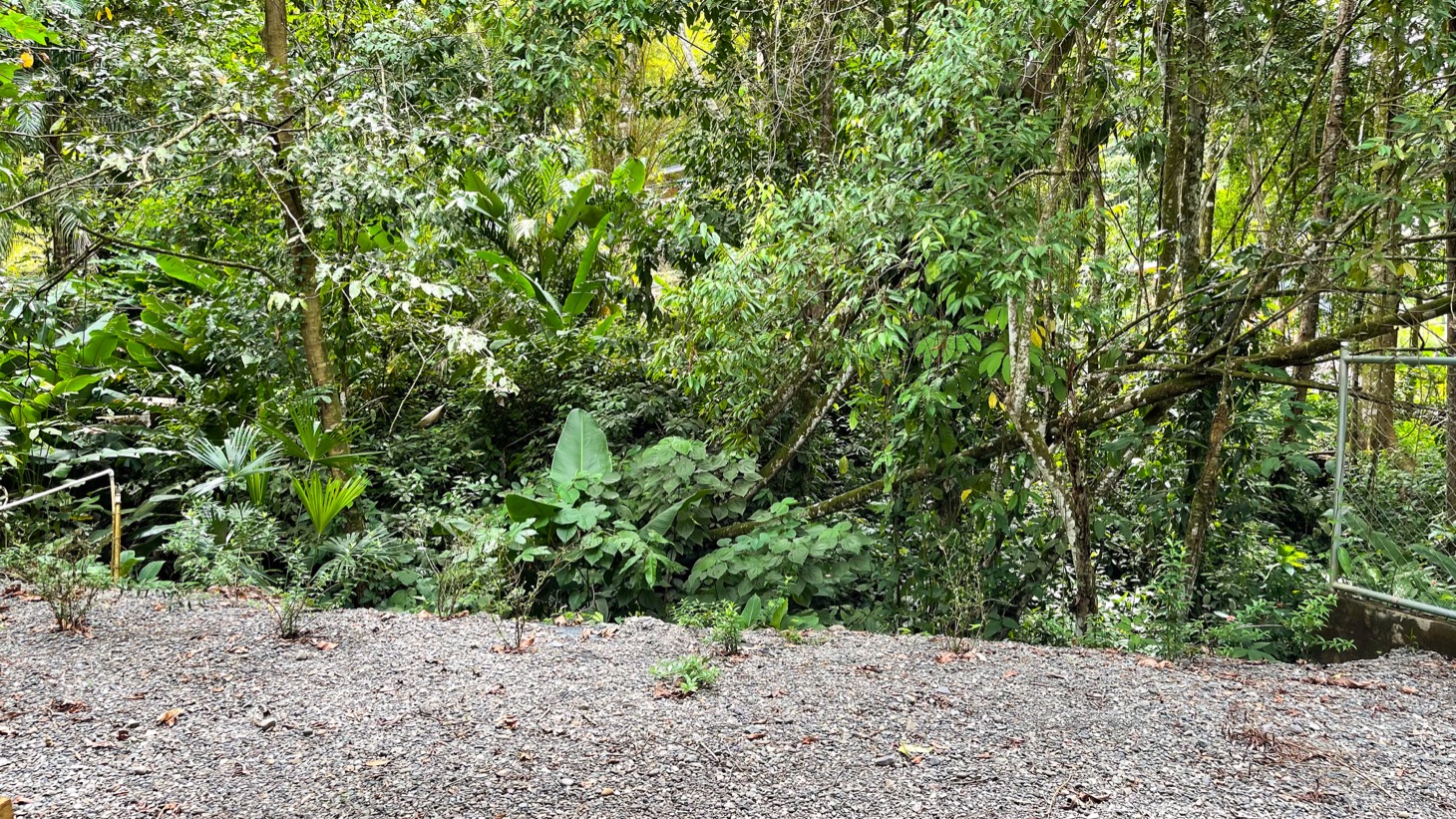 4 bed Single Family Homes For Sale in Uvita, Puntarenas - thumb 29