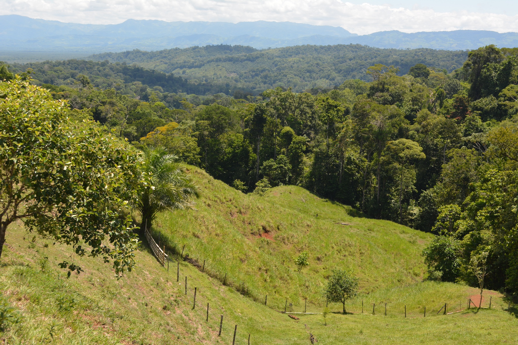 0 bed Land For Sale in Puerto Jimenez, Puntarenas - thumb 10