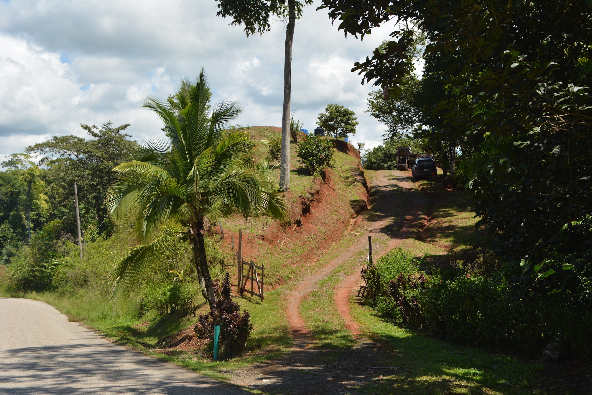 0 bed Land For Sale in Puerto Jimenez, Puntarenas - thumb 6