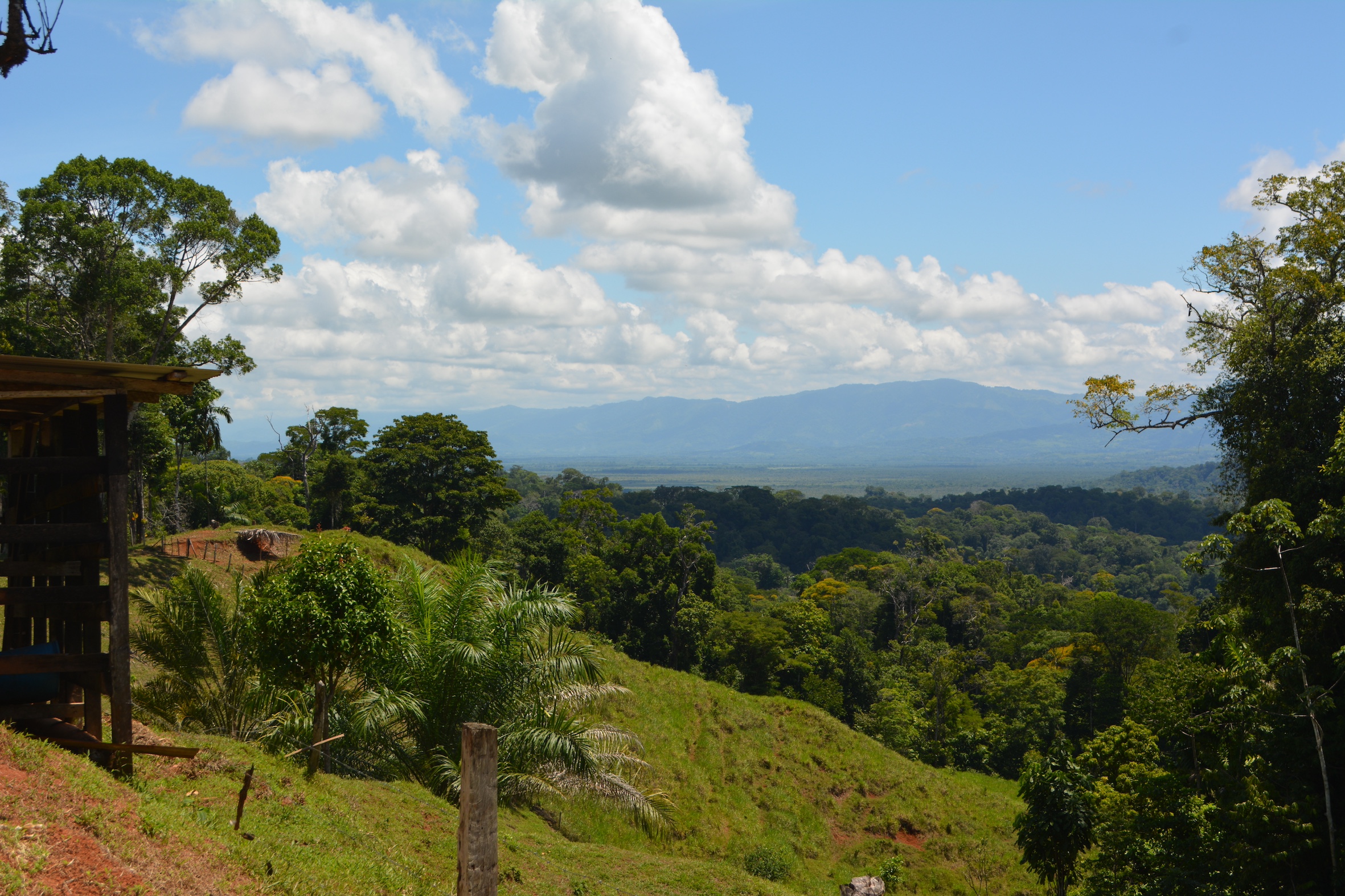 0 bed Land For Sale in Puerto Jimenez, Puntarenas - thumb 2