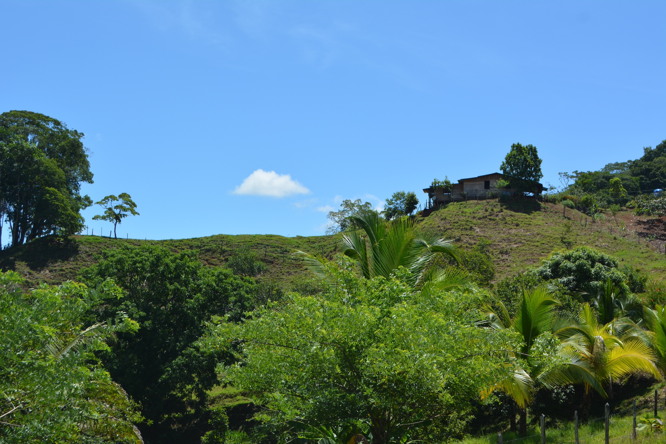 0 bed Land For Sale in Puerto Jimenez, Puntarenas - thumb 21