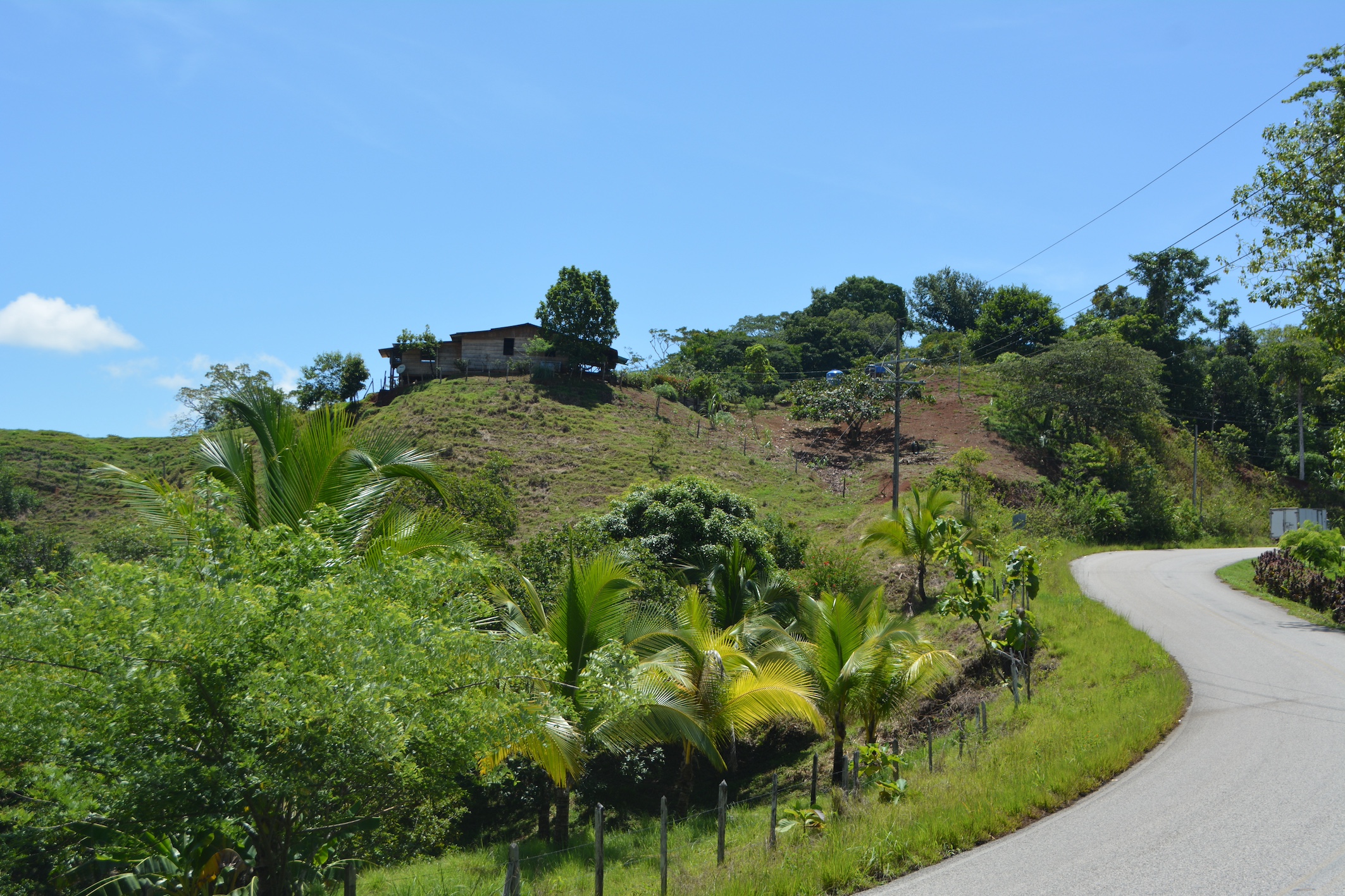 0 bed Land For Sale in Puerto Jimenez, Puntarenas - thumb 4