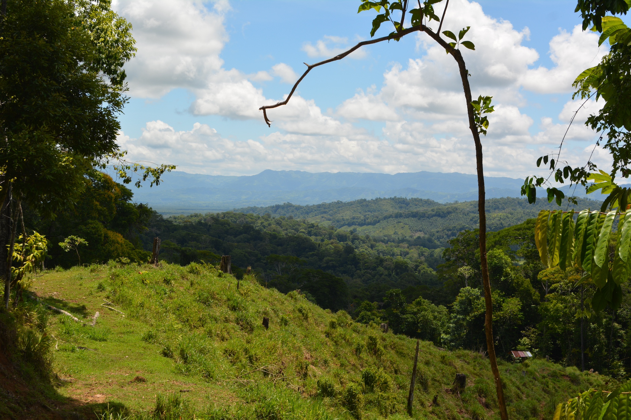 0 bed Land For Sale in Puerto Jimenez, Puntarenas - thumb 19