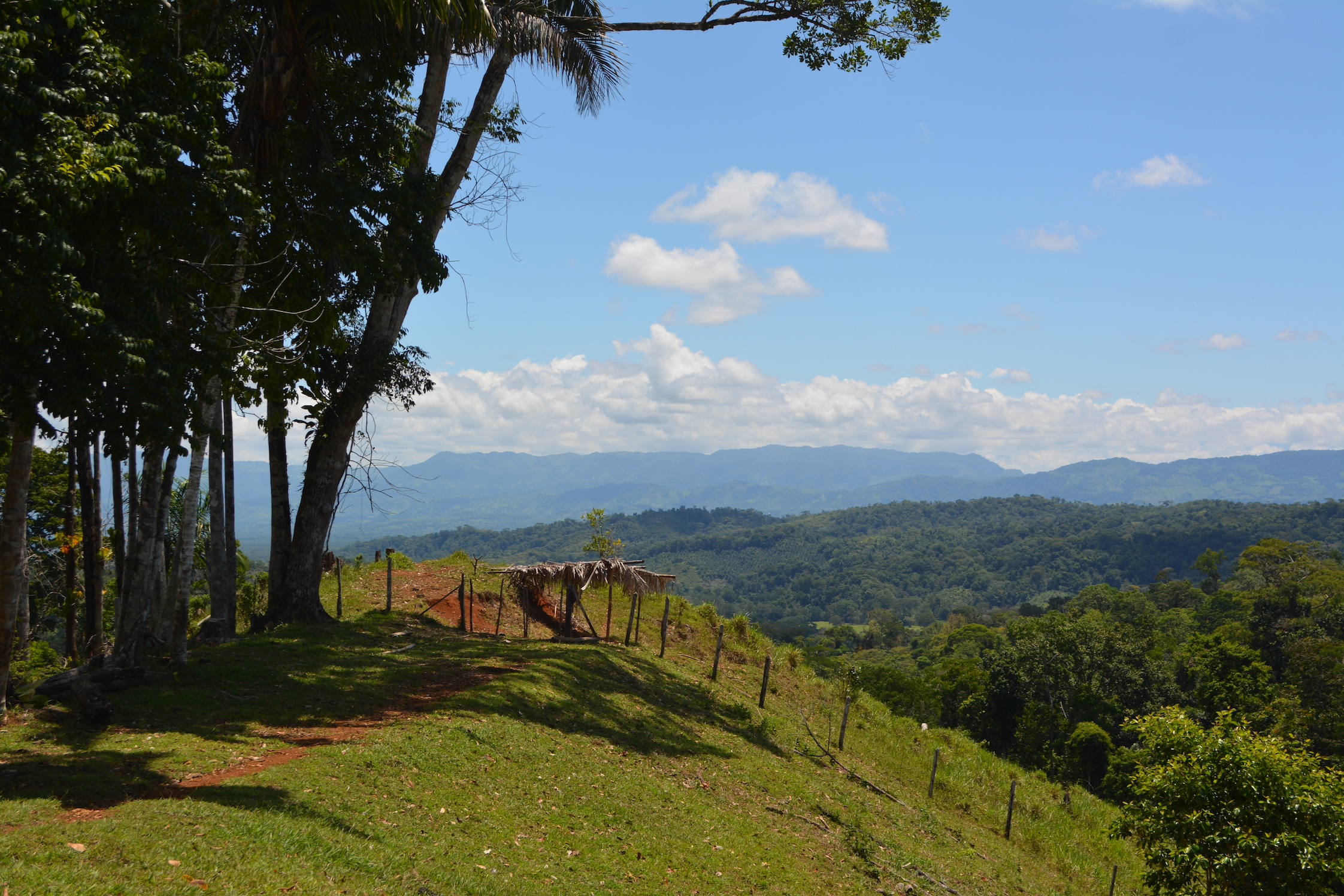 0 bed Land For Sale in Puerto Jimenez, Puntarenas - thumb 1