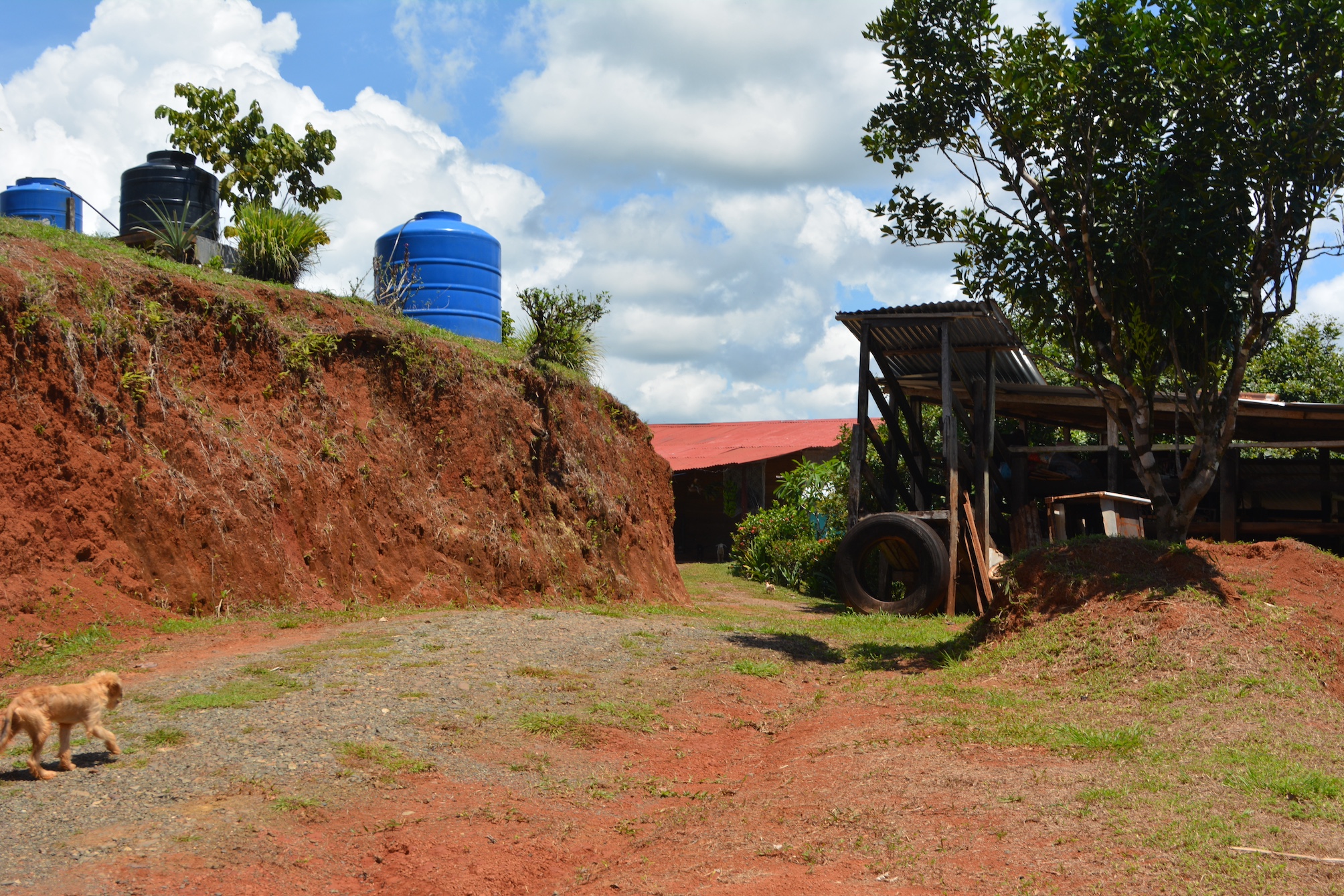 0 bed Land For Sale in Puerto Jimenez, Puntarenas - thumb 7