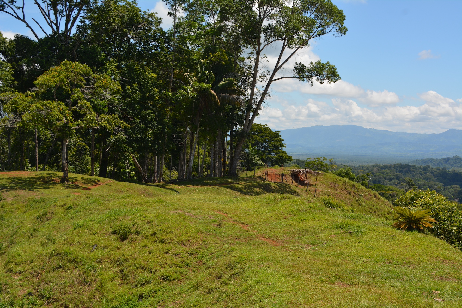 0 bed Land For Sale in Puerto Jimenez, Puntarenas - thumb 12
