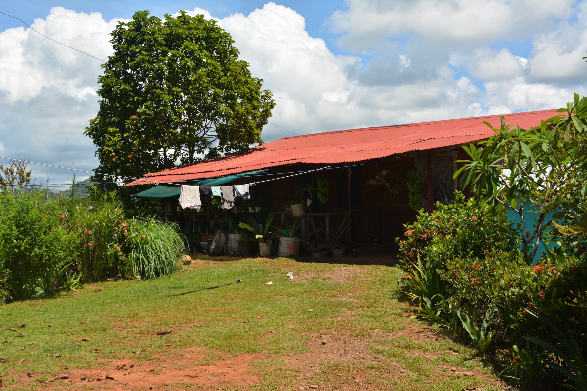 0 bed Land For Sale in Puerto Jimenez, Puntarenas - thumb 8